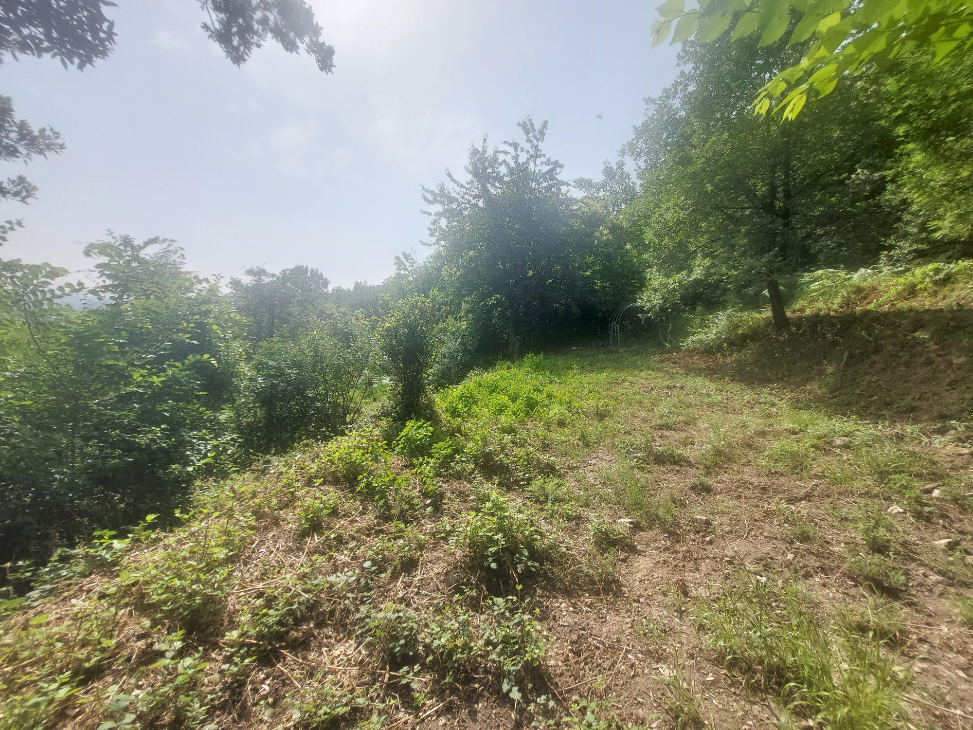 Buildable serviced land with building permit 5
