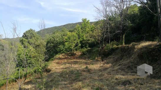 Buildable serviced land with building permit 3