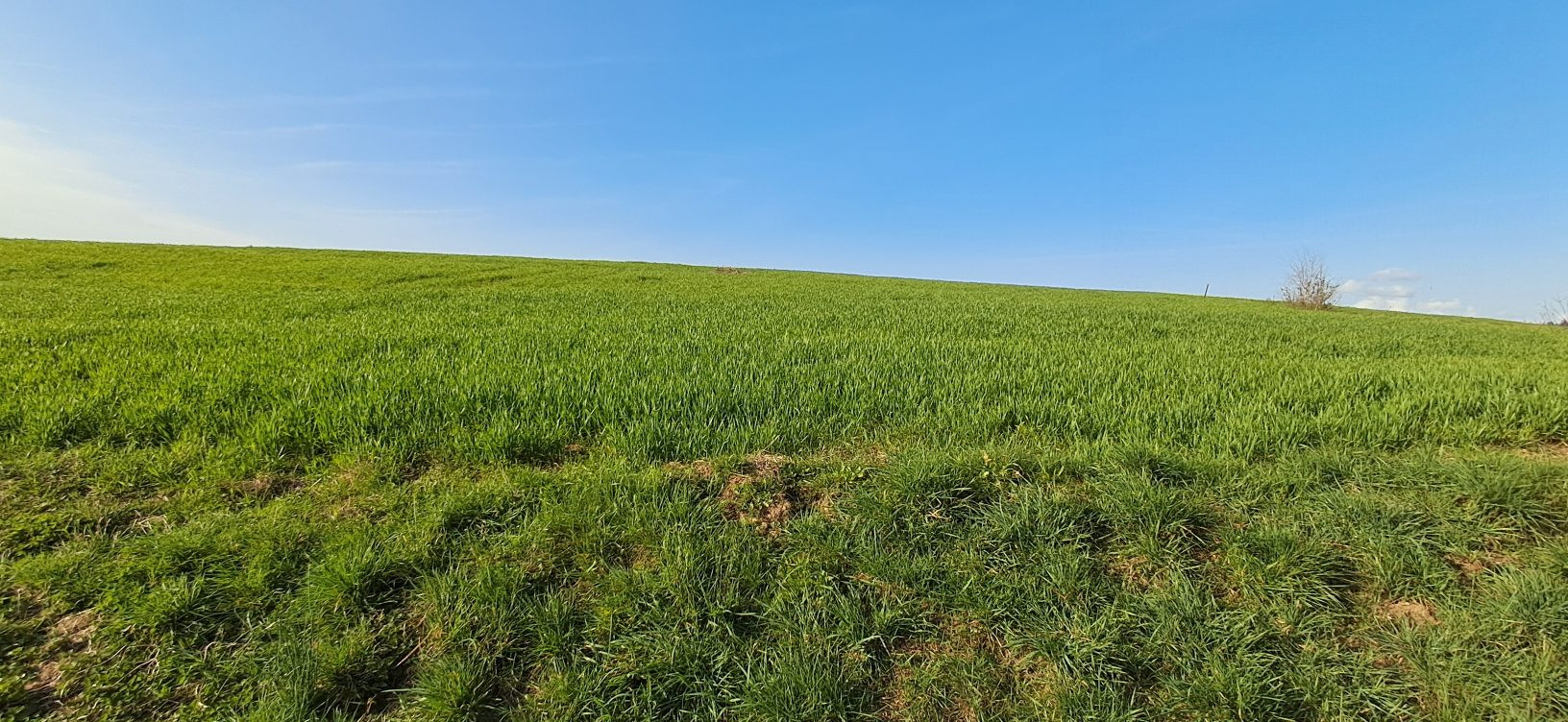 Land in Vendresse 3