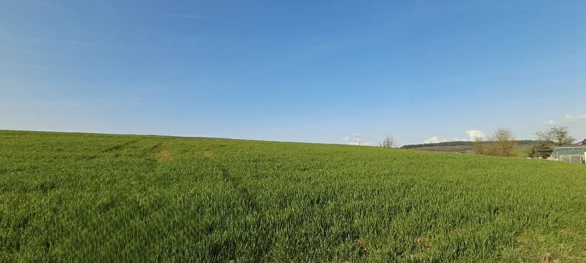 Terrain dans Vendresse