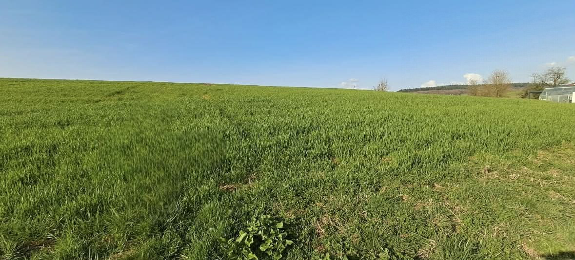 Land in Vendresse 4