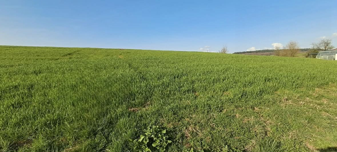 Terrain dans Vendresse