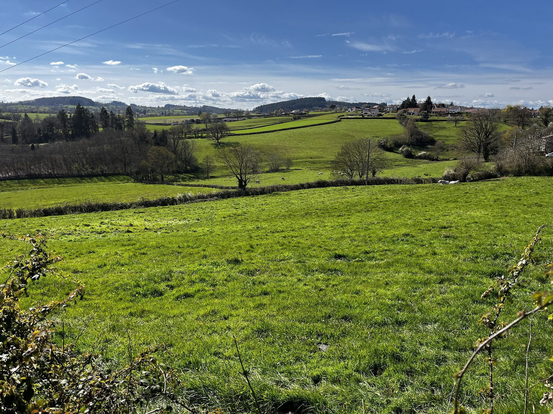 Terrain constructible pour lotissement