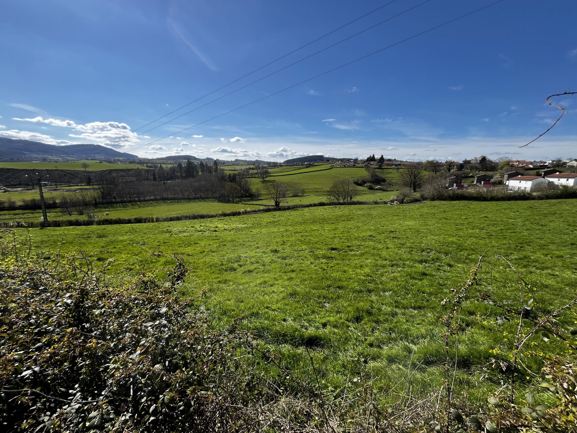 Terrain constructible pour lotissement