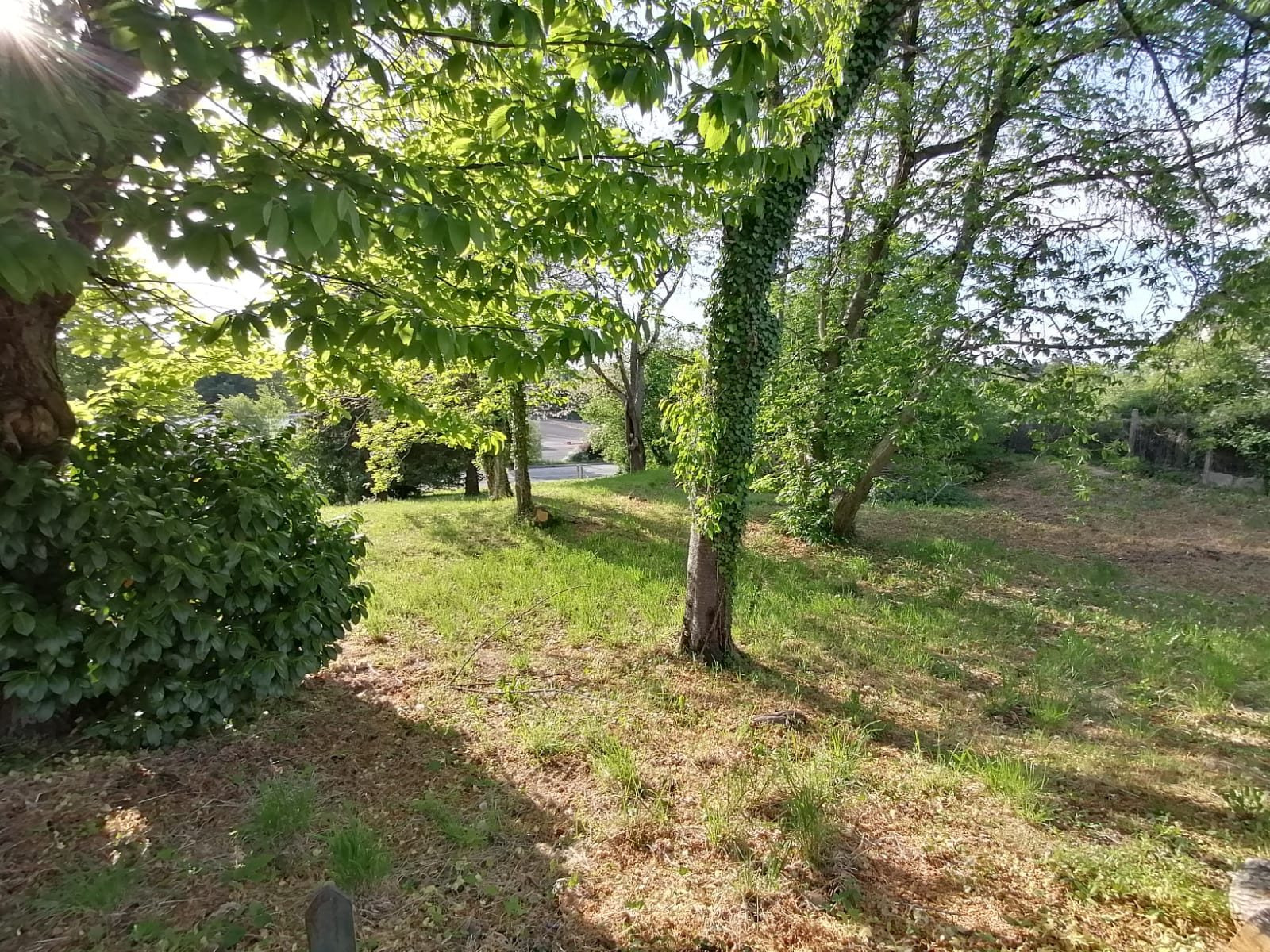 Terrain dans La Souterraine · 20 000 €
