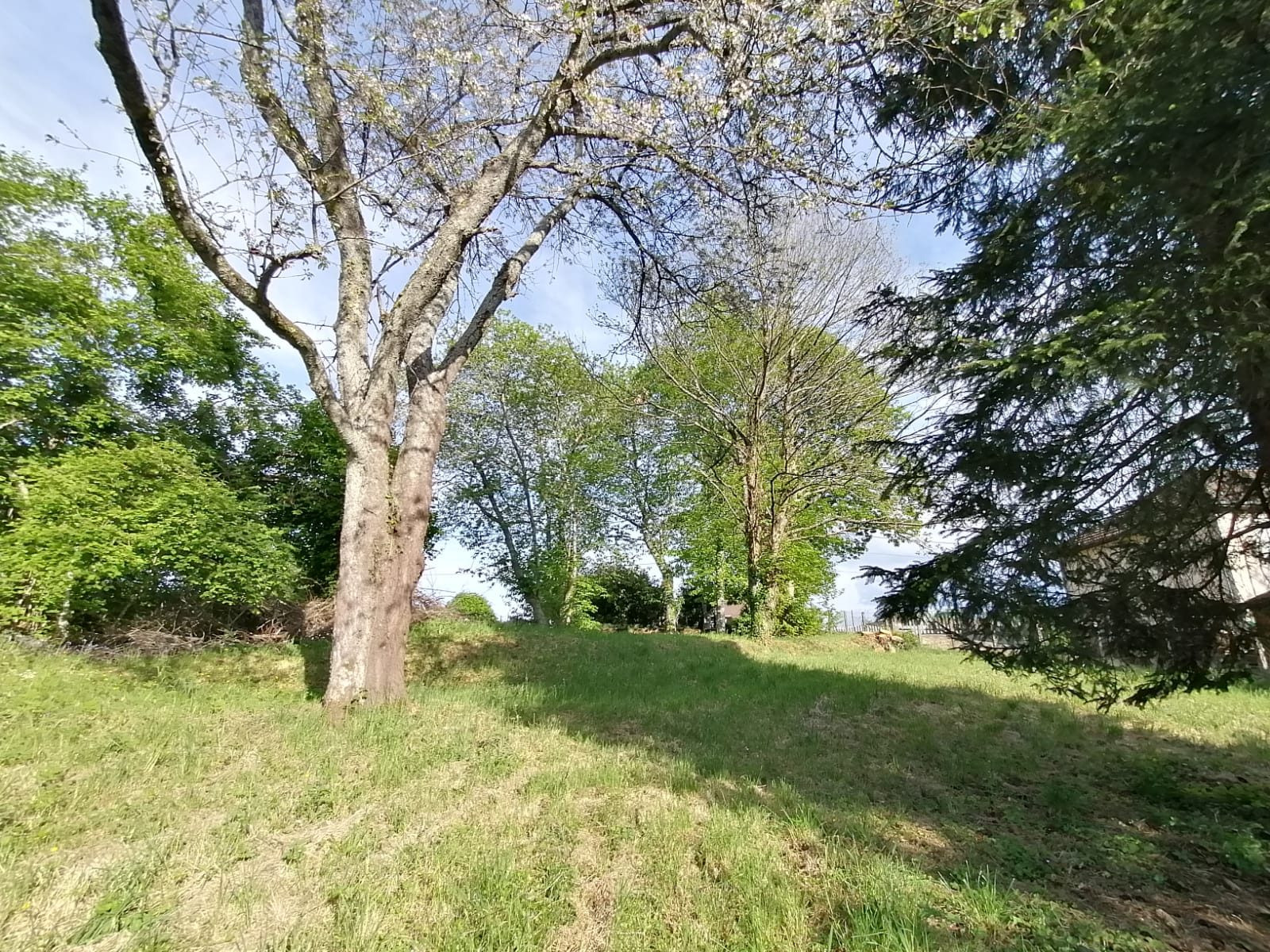 Land in La Souterraine 5