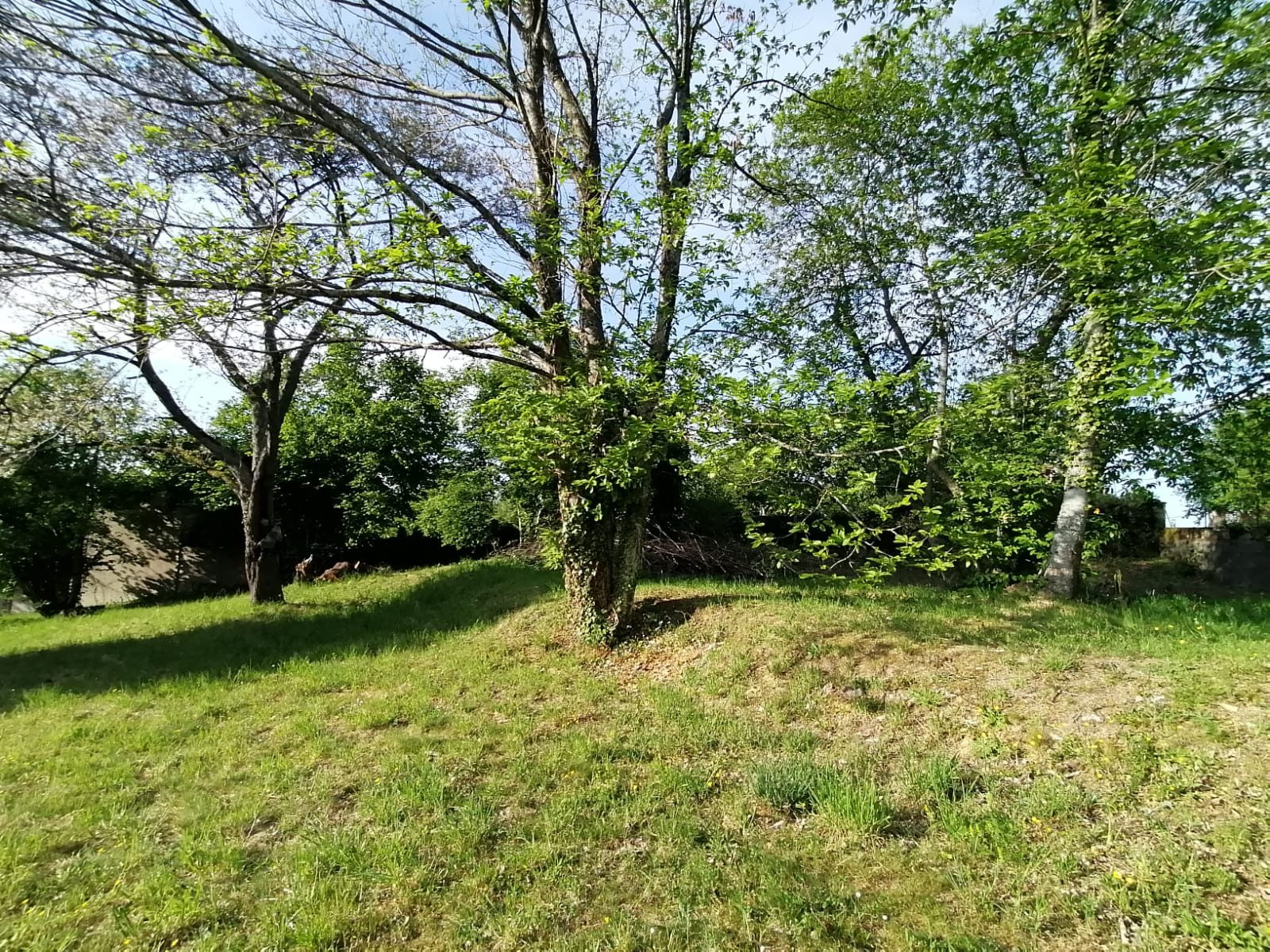 Land in La Souterraine 3