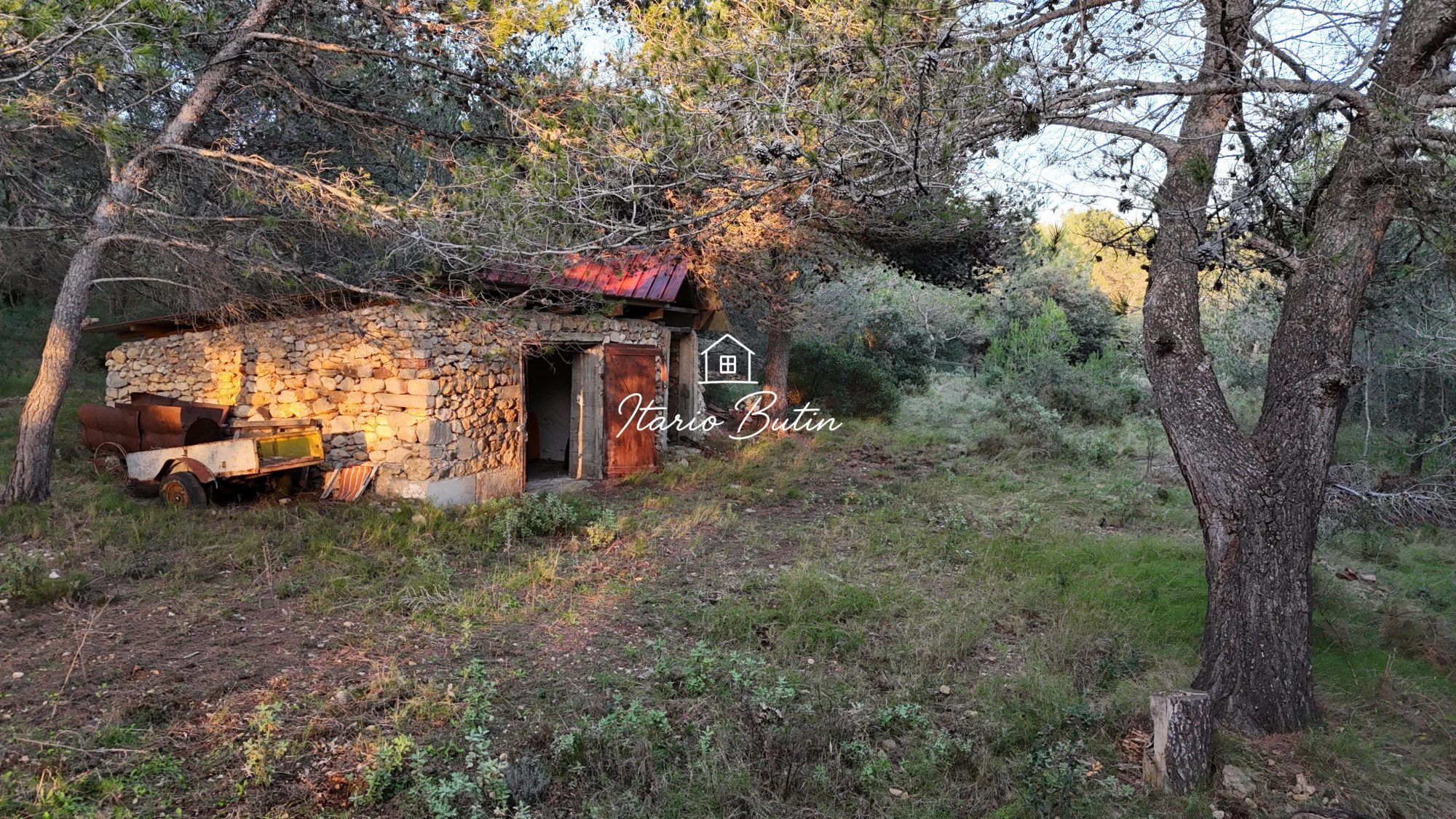 Terrain de près d’1 hectare avec mazet