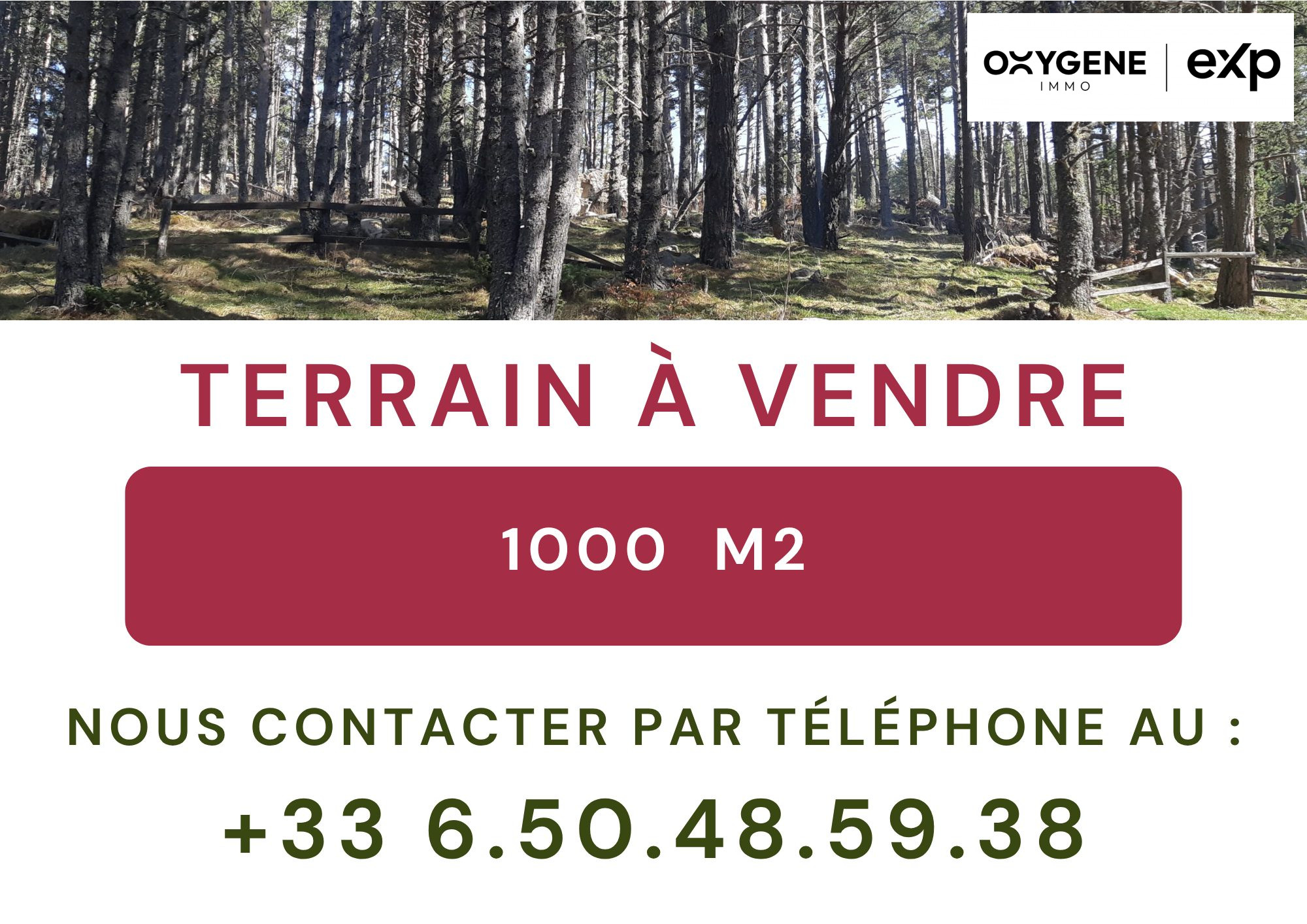 Terrain Formiguères