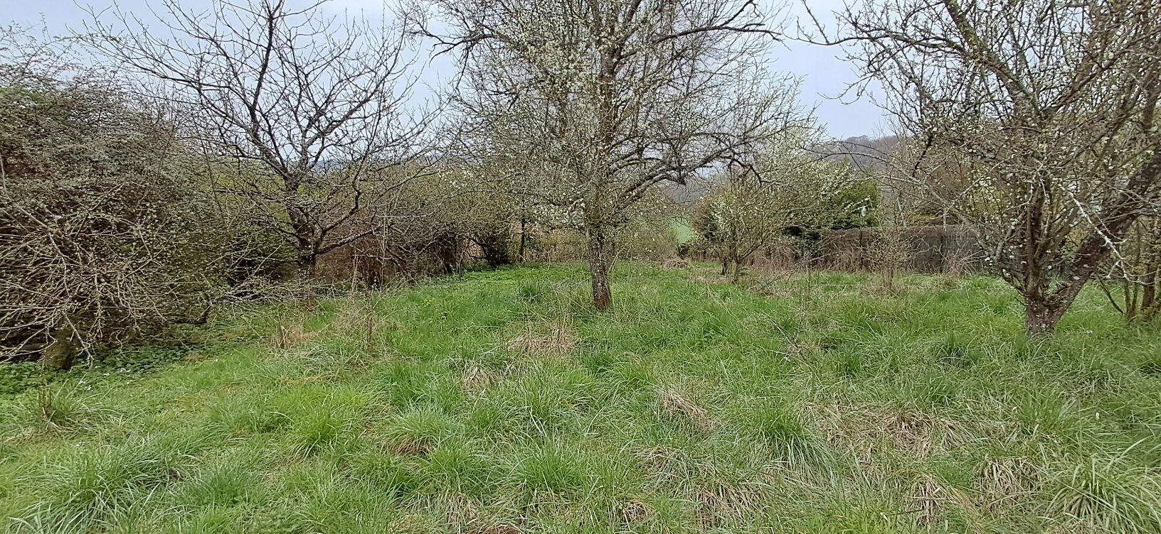 Terrain dans BALAIVES ET BUTZ