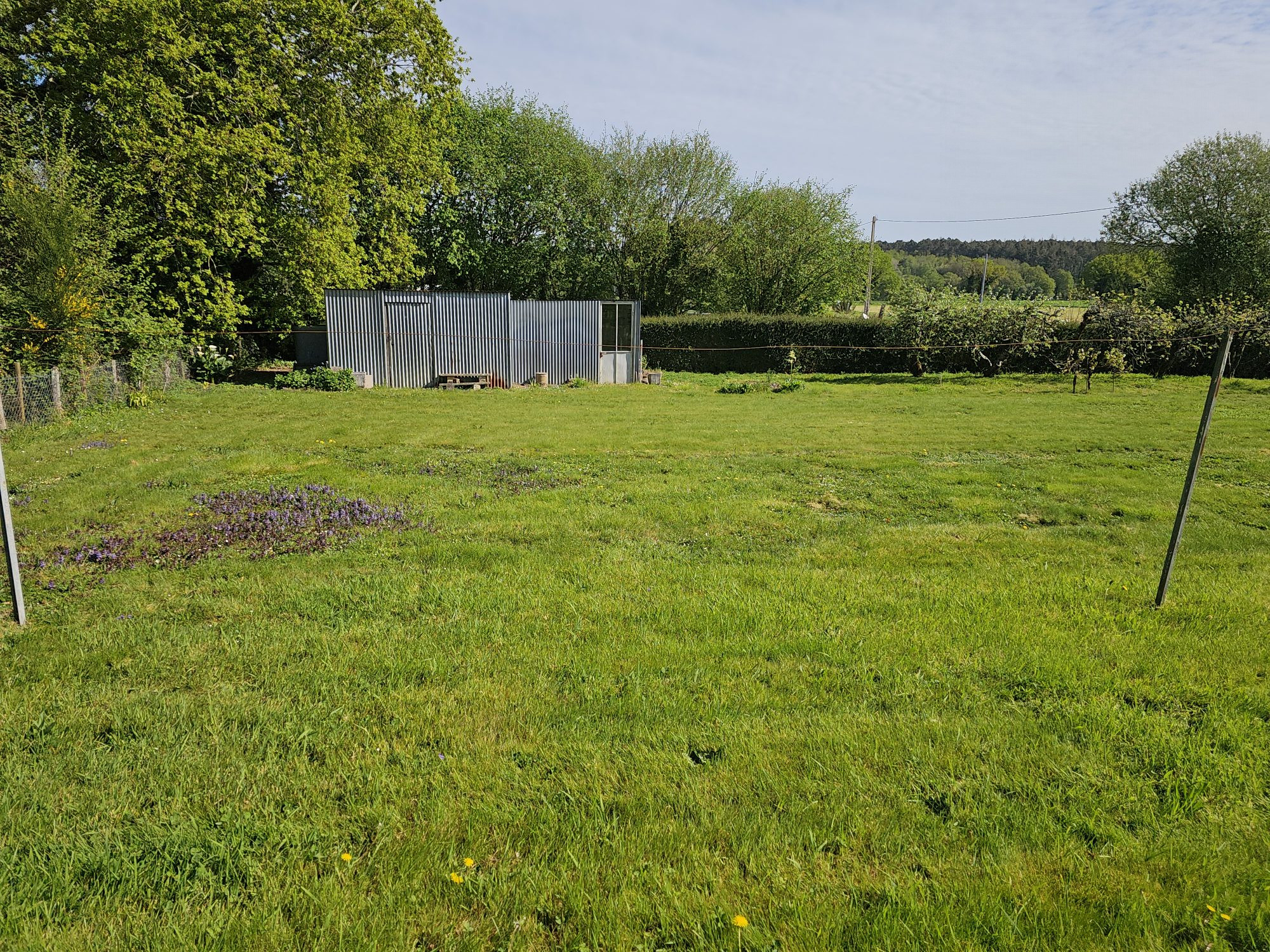 Terrain dans Nivillac