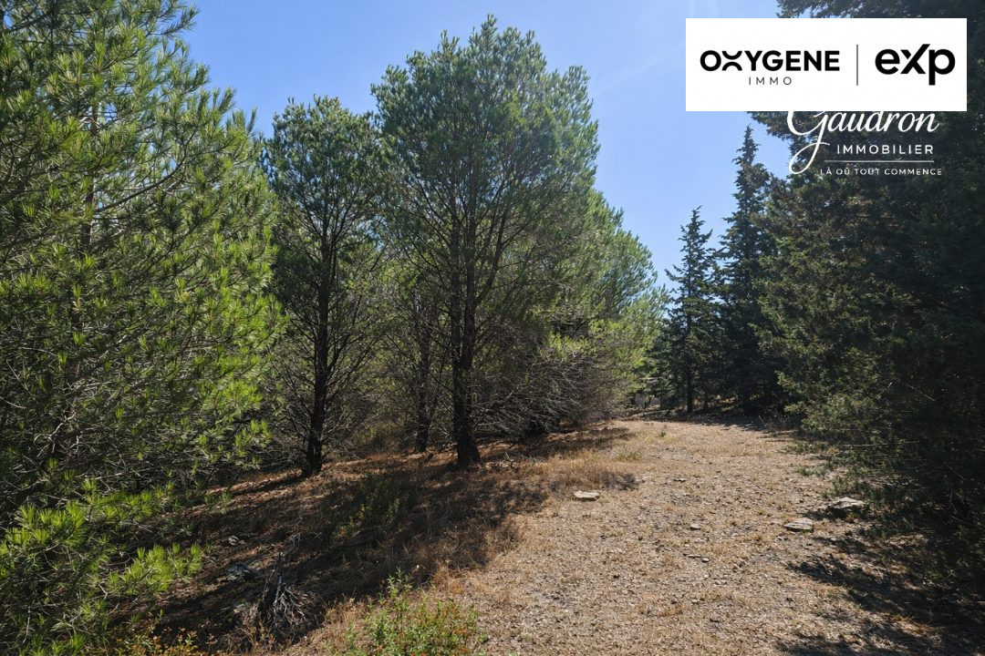 Terrain de loisir 6 070 m² avec Casot en pierre déclaré