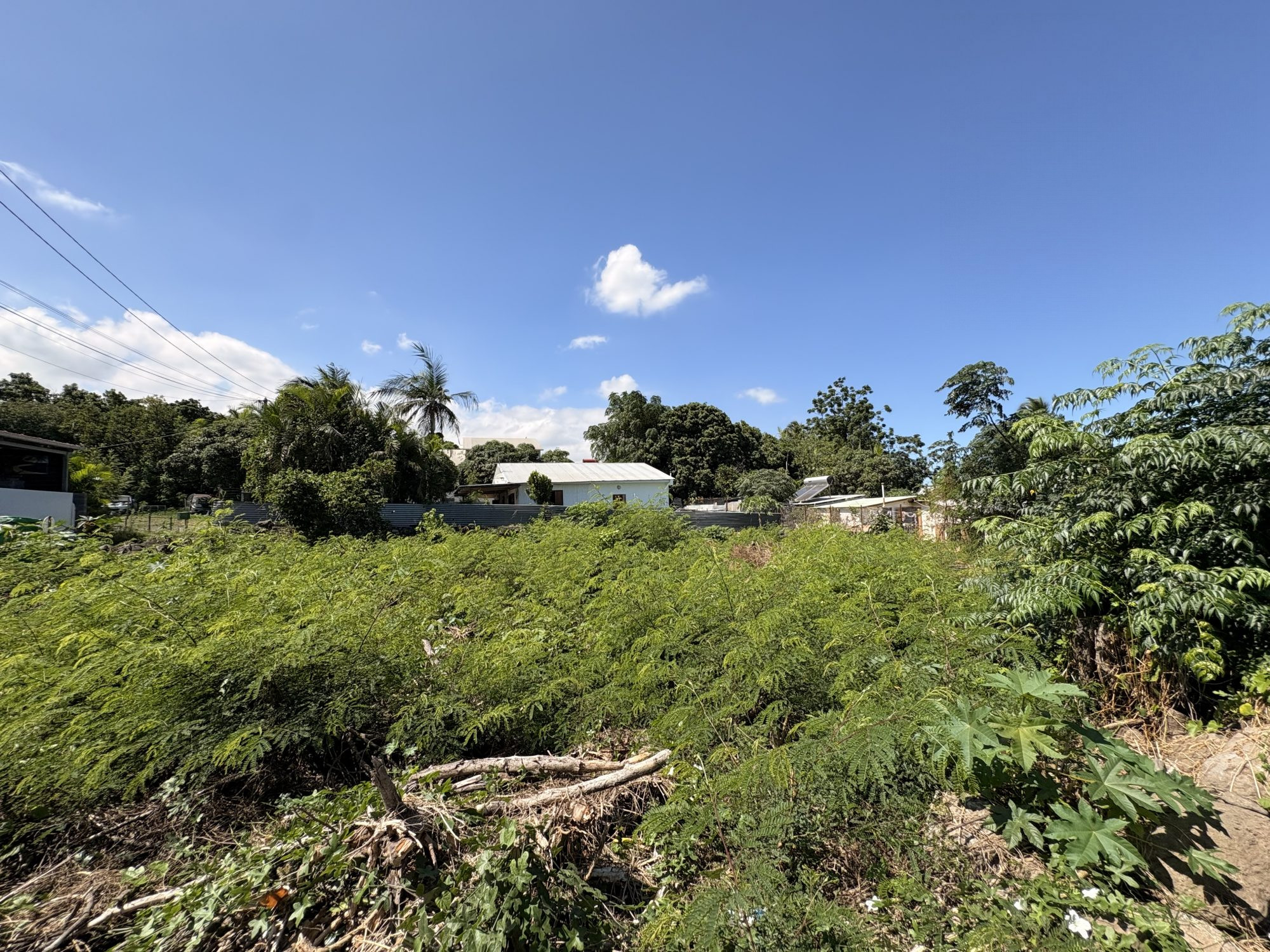 BAISSE DE PRIX  Terrain la rivière st-louis · à Saint-Louis · 152 000 €