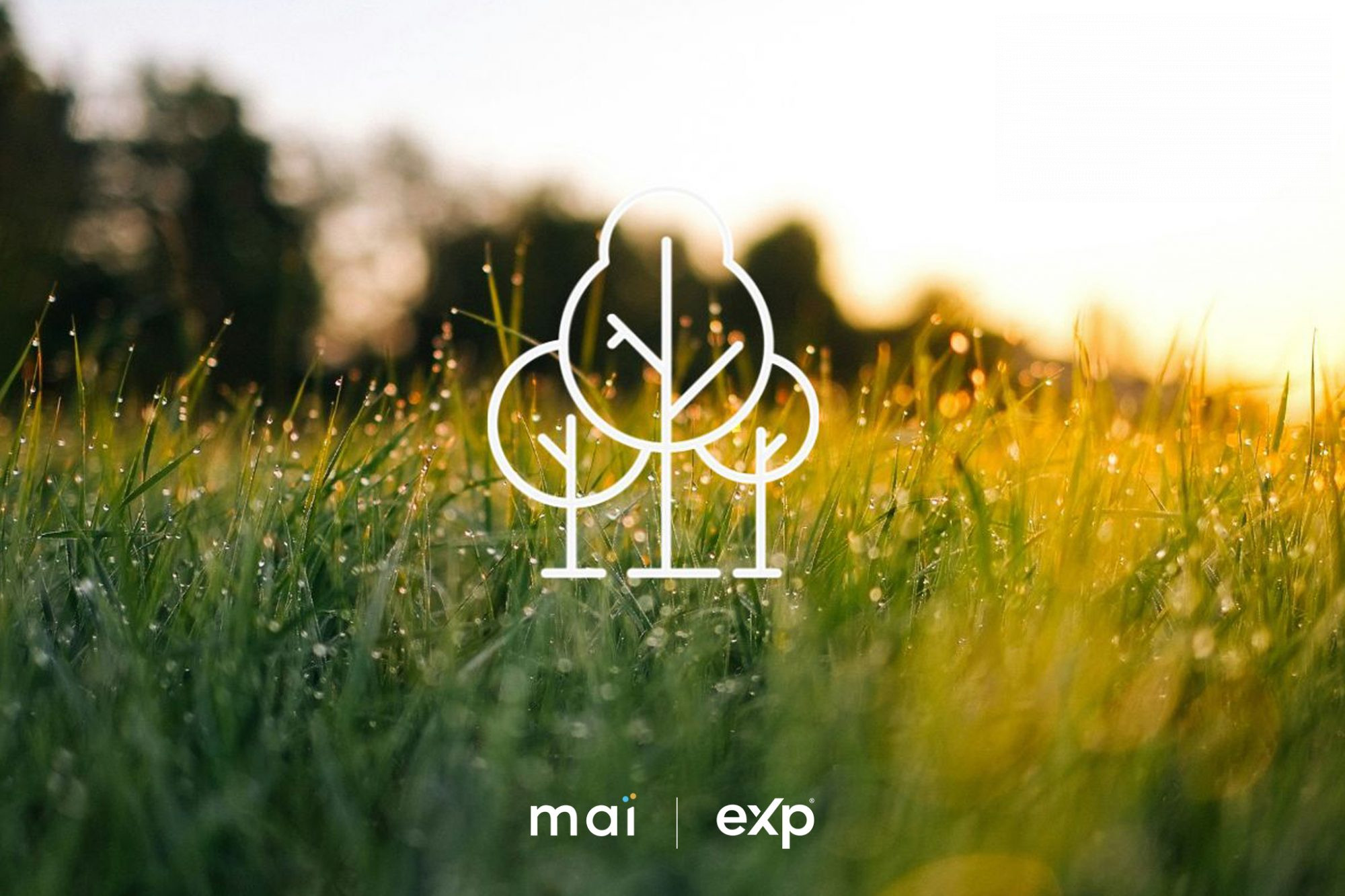 Terrain constructible à vendre à Étel – 550 m² viabilisé proche port et commerces
