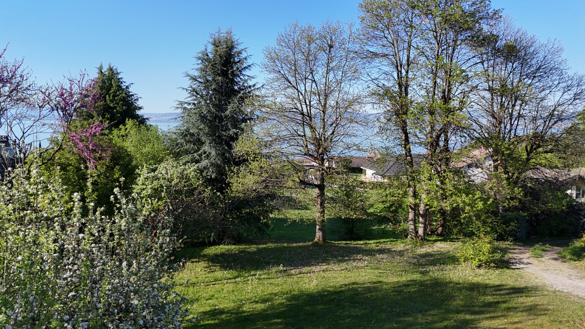 Terrain à bâtir 1 064 m² - Vue lac imprenable - Libre de constructeur · à Lugrin · 260 000 €