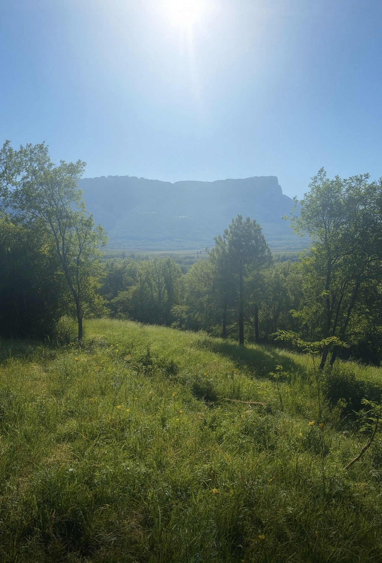 Terrain dans Les Mollettes à Les Mollettes