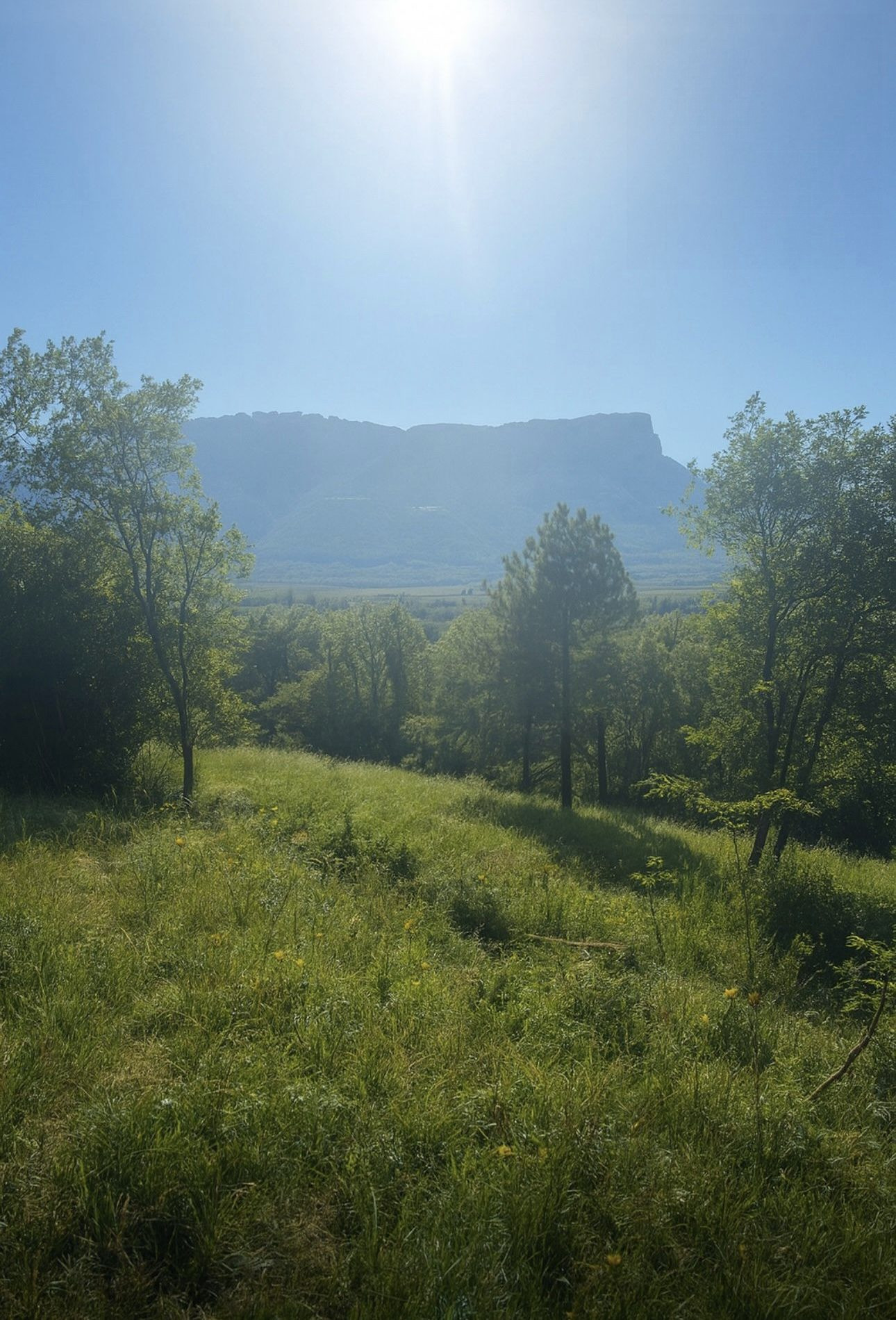 Terrain dans Les Mollettes · 115 000 €