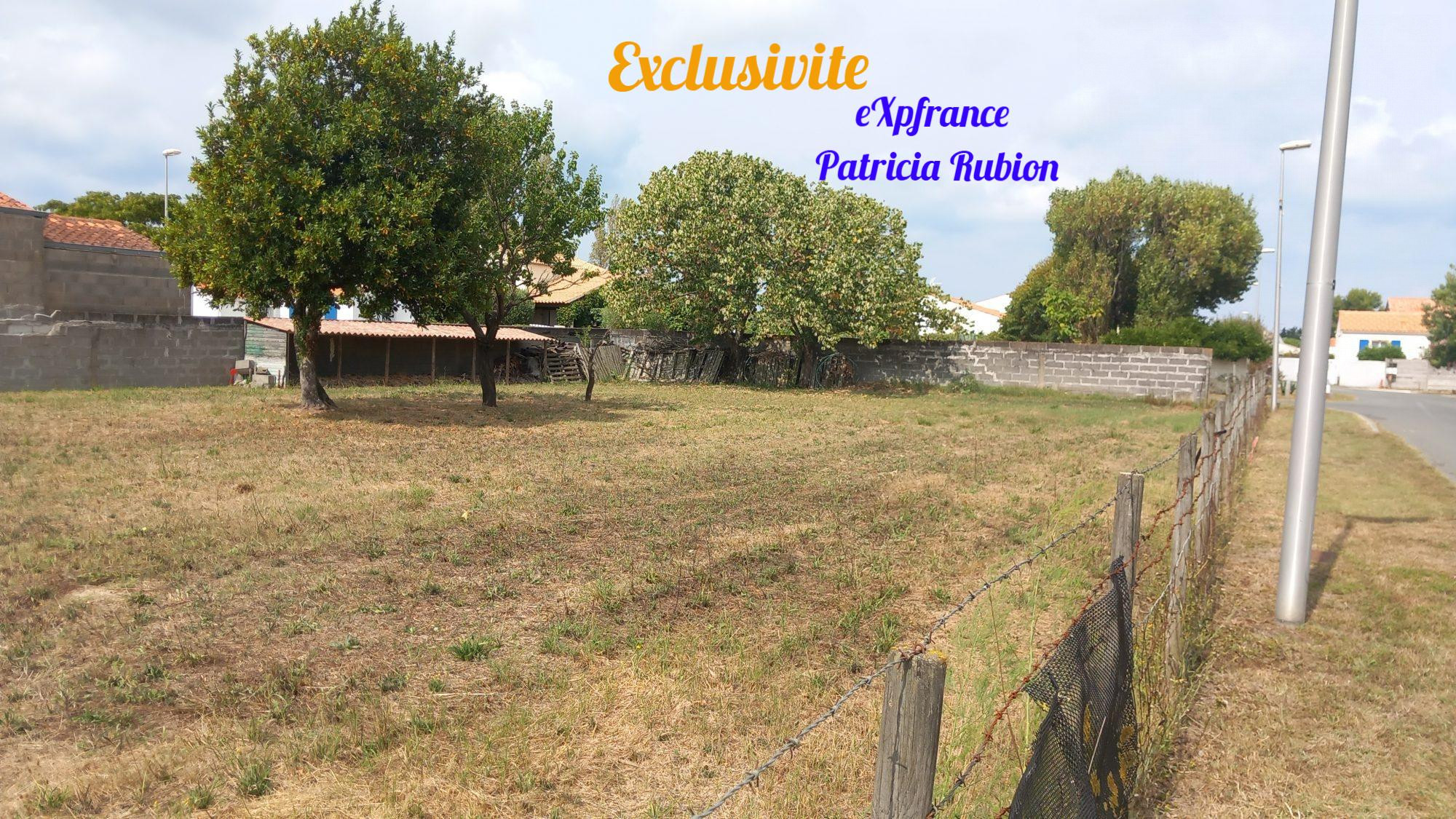 Terrain constructible