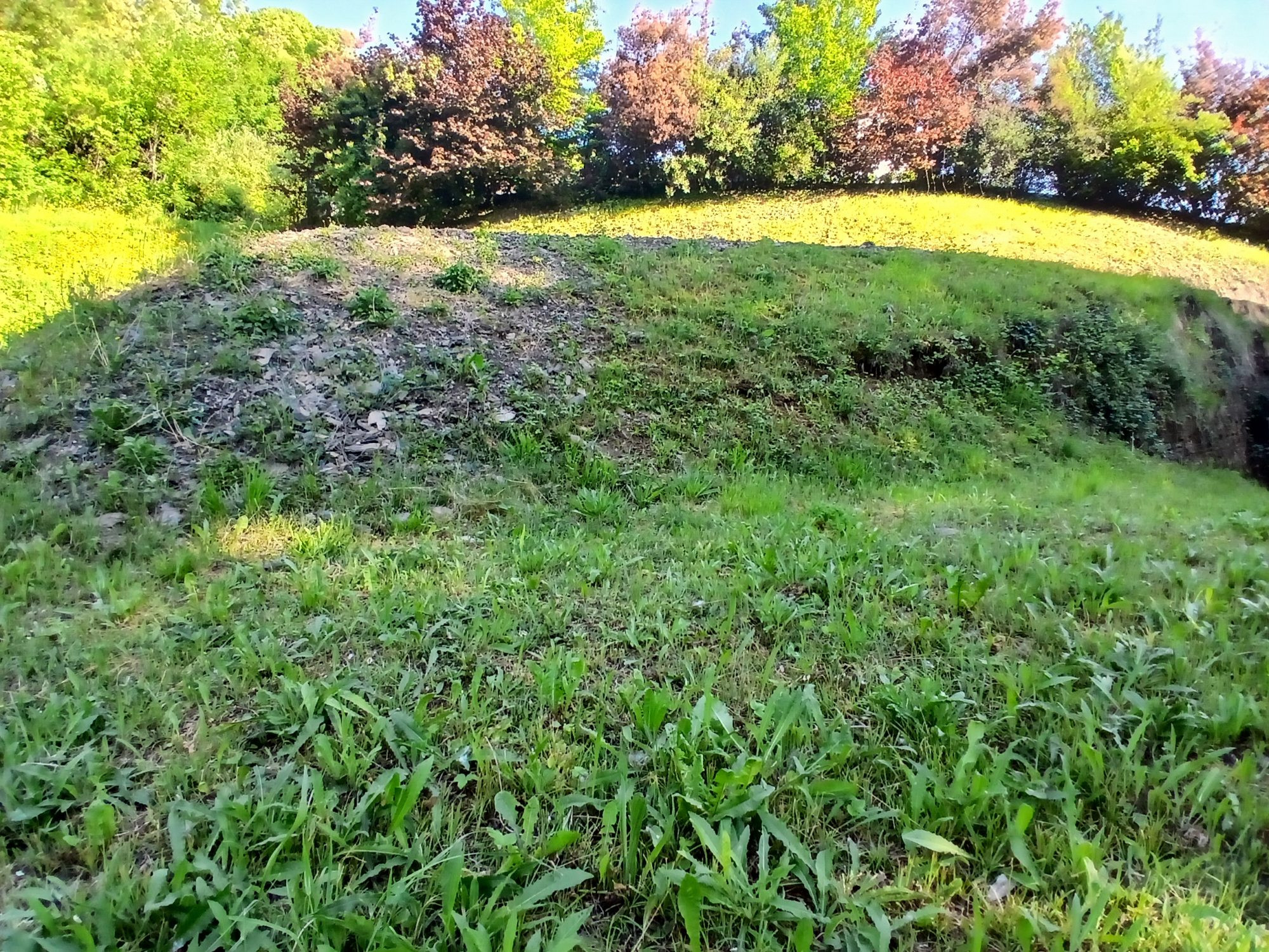 TERRAIN LAISSAUD