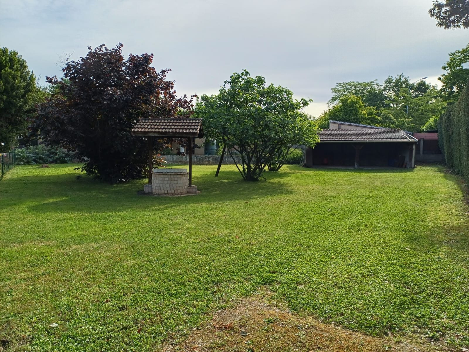 terrain 719 m²