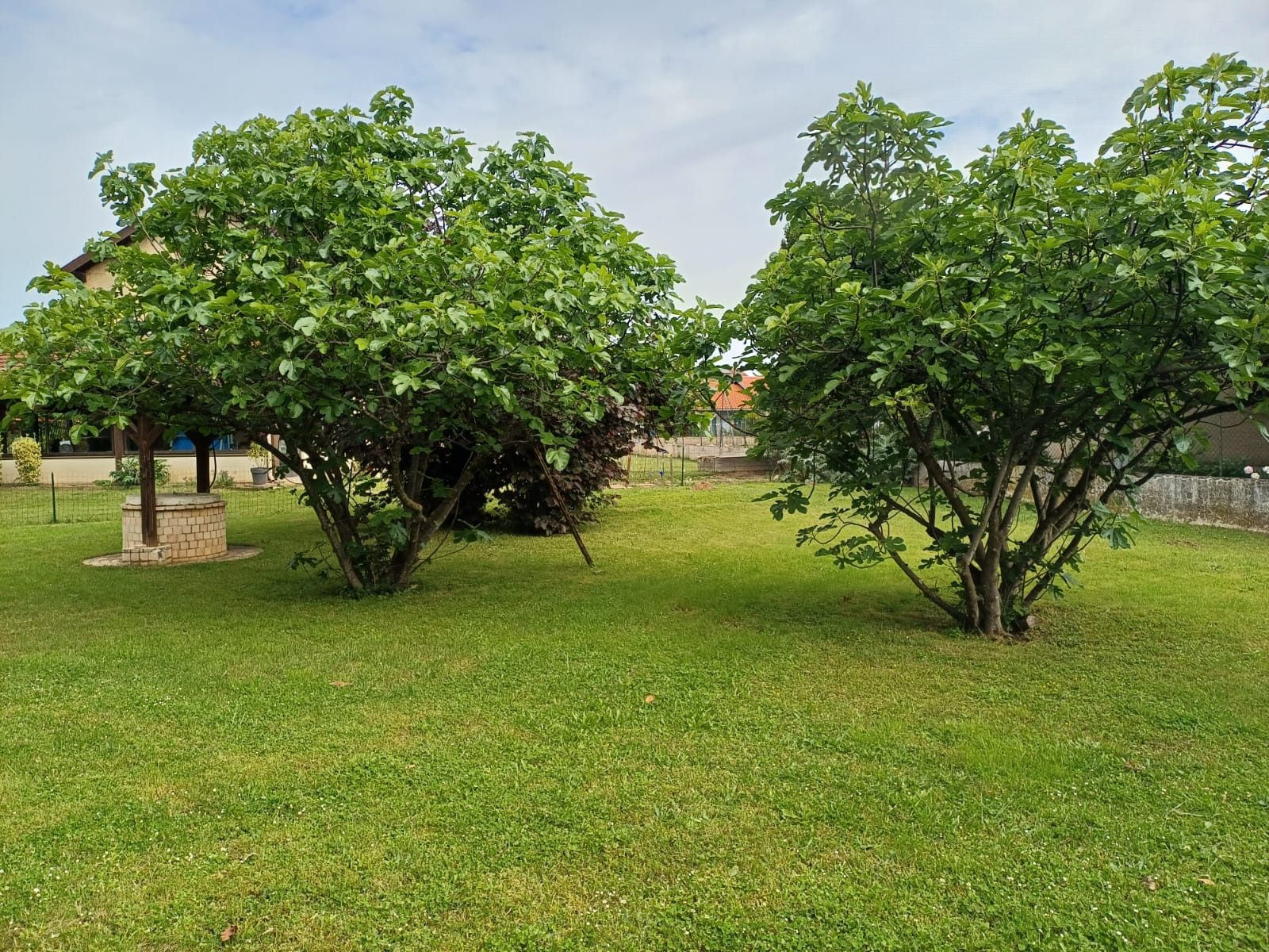 Land plot 719 m² 3