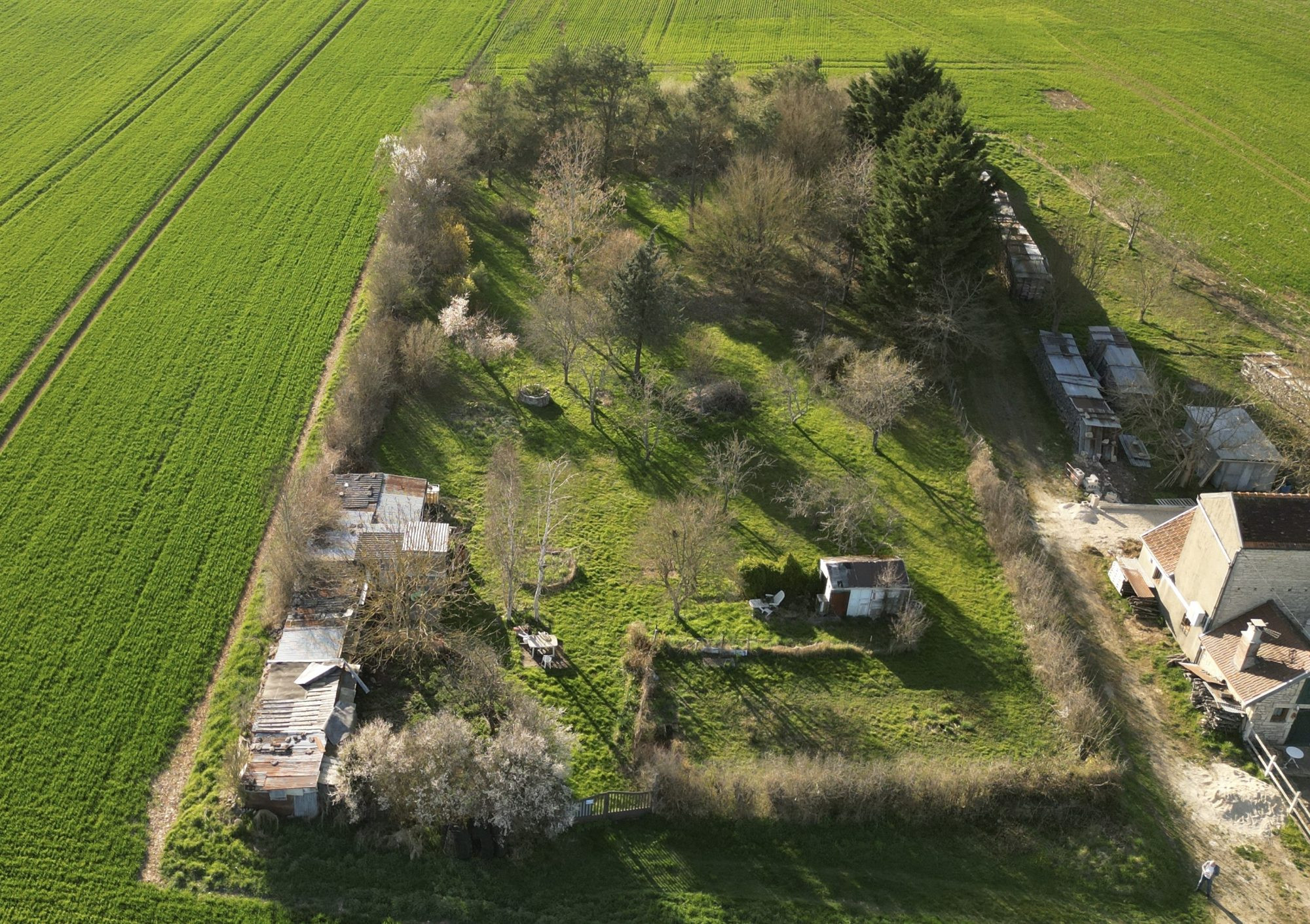 GRAND JARDIN ARBORÉ DE 3000 m2