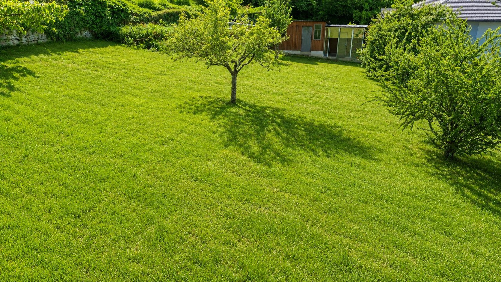 Terrain à vendre à Neuvecelle