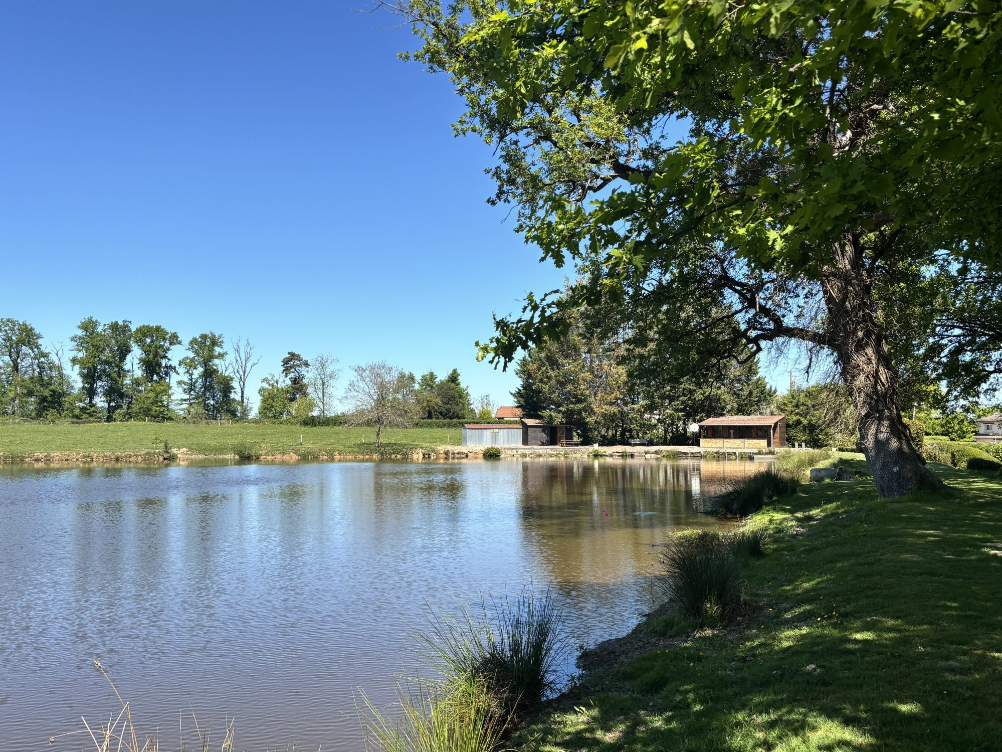 ETANG avec chalet et dependances · à Azy-le-Vif · 128 000 €