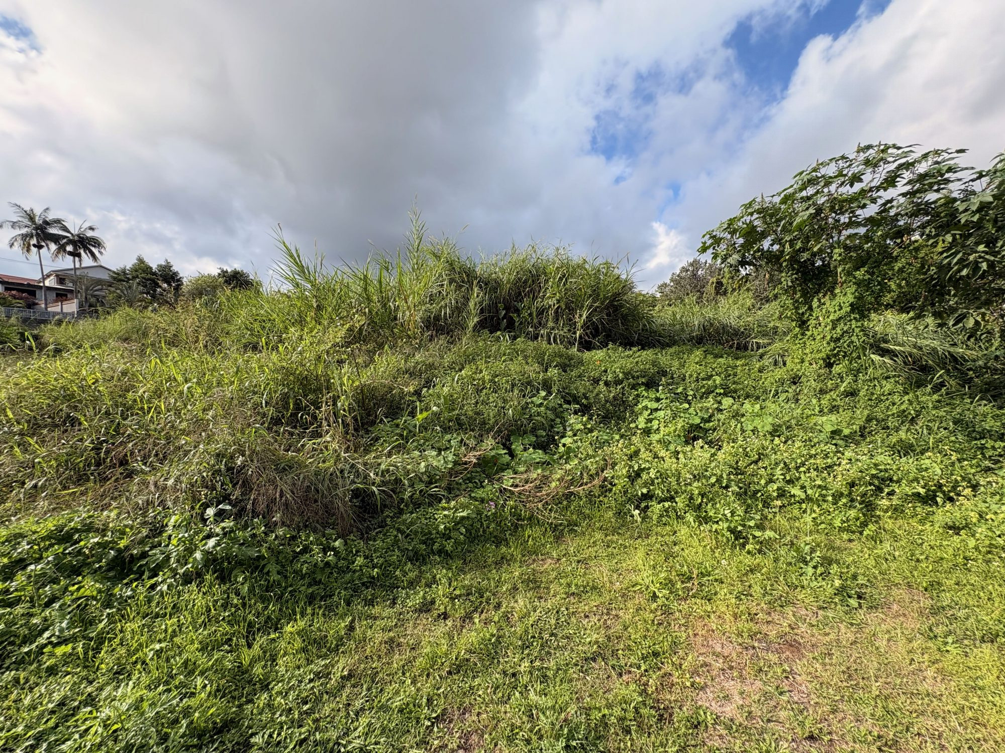 Terrain constructible Bras de pontho