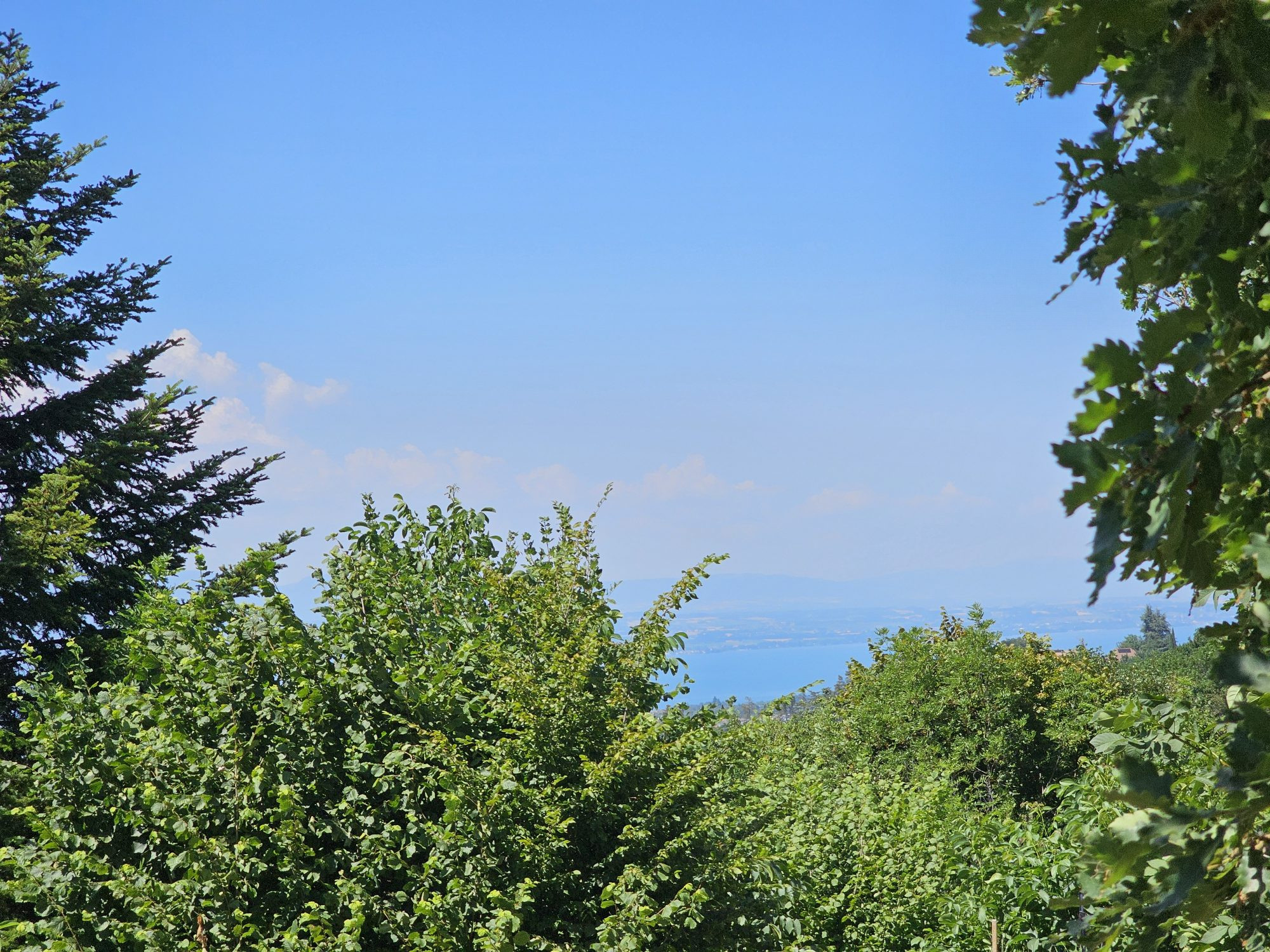 TERRAIN CONSTRUCTIBLE ET VIABILISE DE 155OM2 · à Armoy · 290 000 €