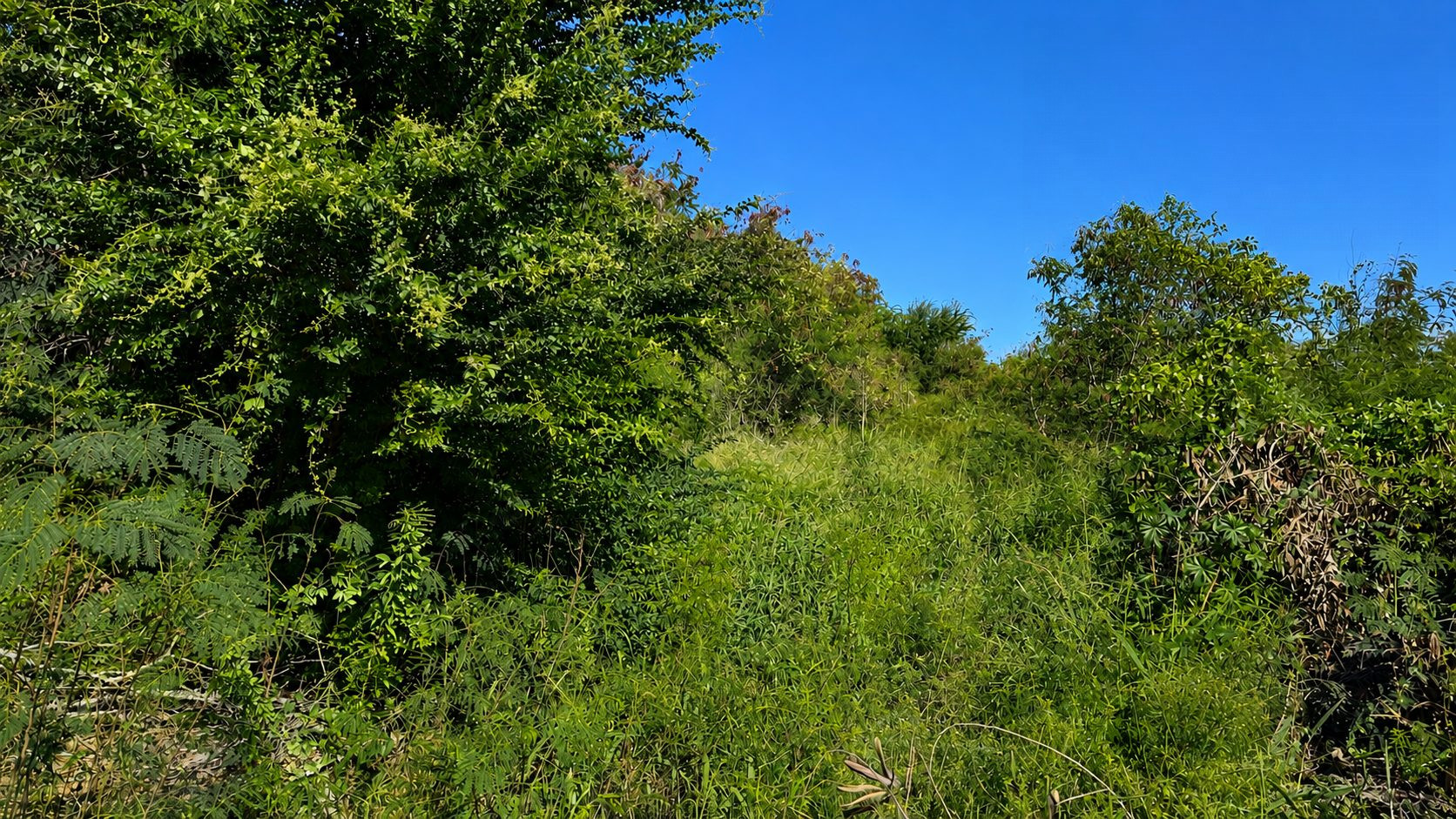 Terrain constructible situé en zone UE du PLU de l'Étang-Salé