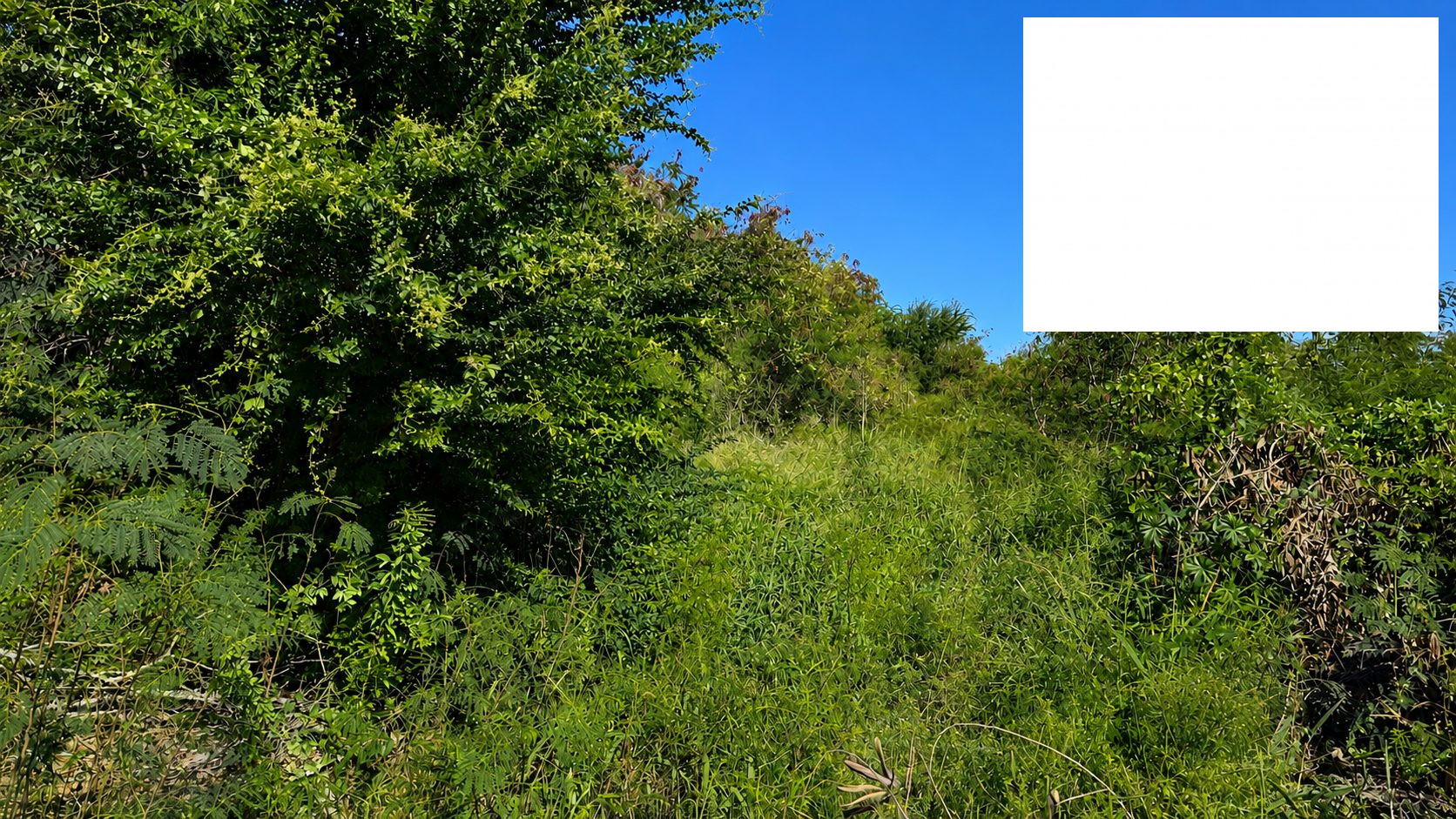 Terrain constructible situé en zone UE du PLU de l'Étang-Salé