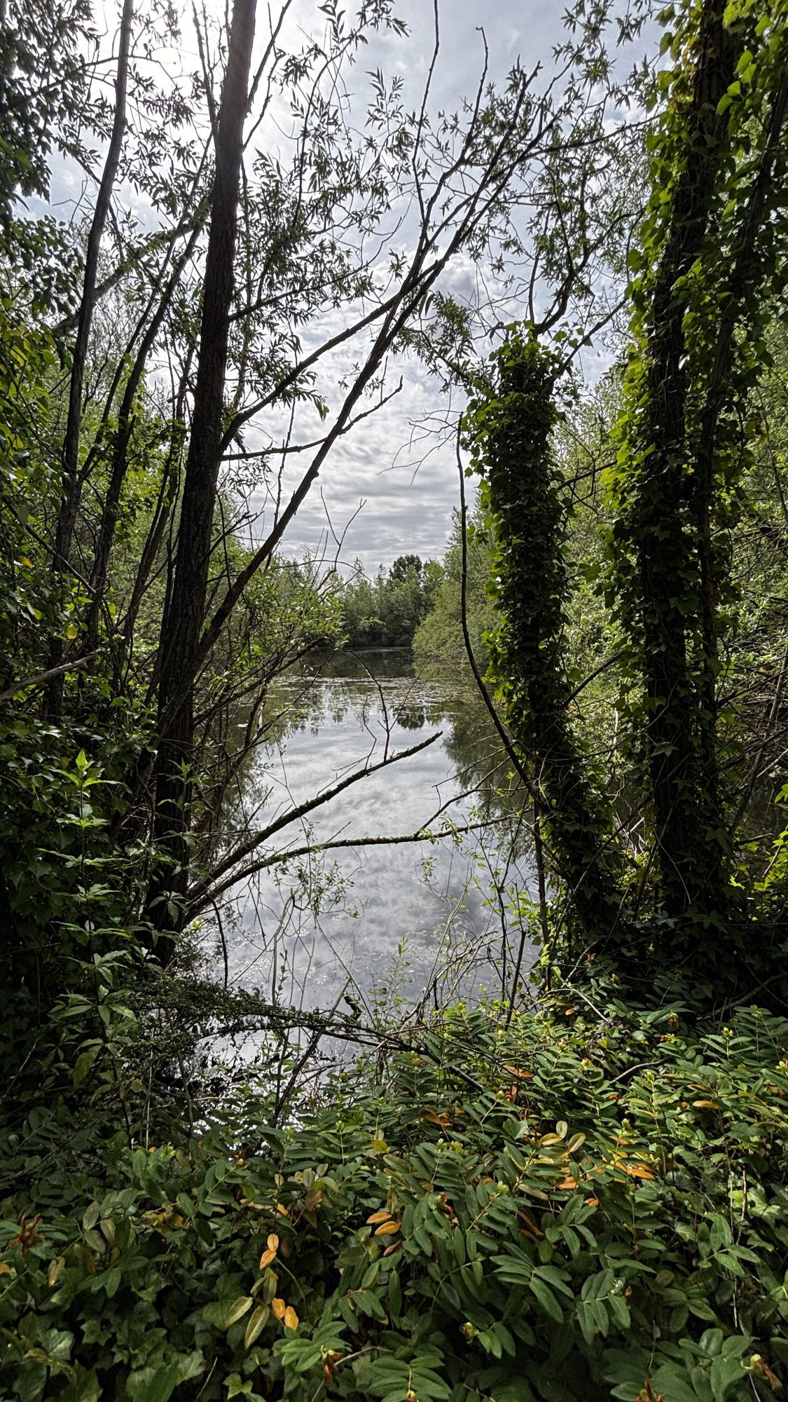 Terrain à vendre à CHARMOY