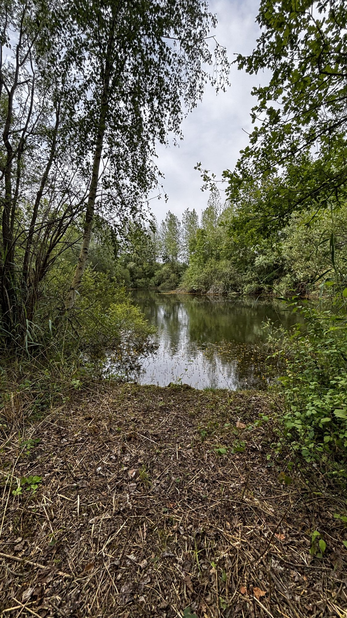 Terrain à vendre à CHARMOY