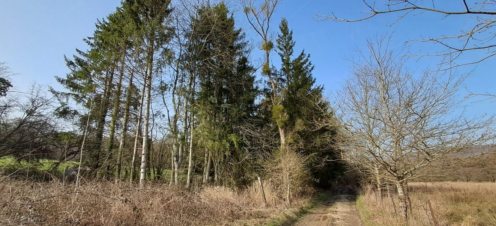 Terrain à vendre à Gernelle