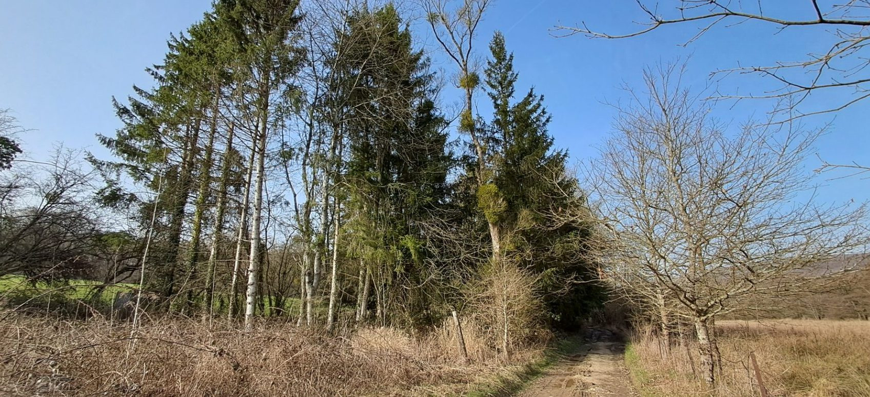 Land in Gernelle 3