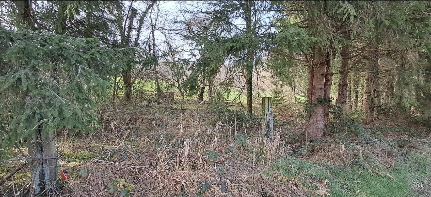 Land in Gernelle 2