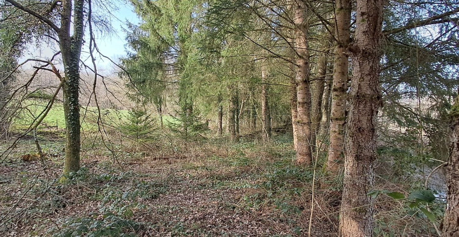 Terrain dans Gernelle