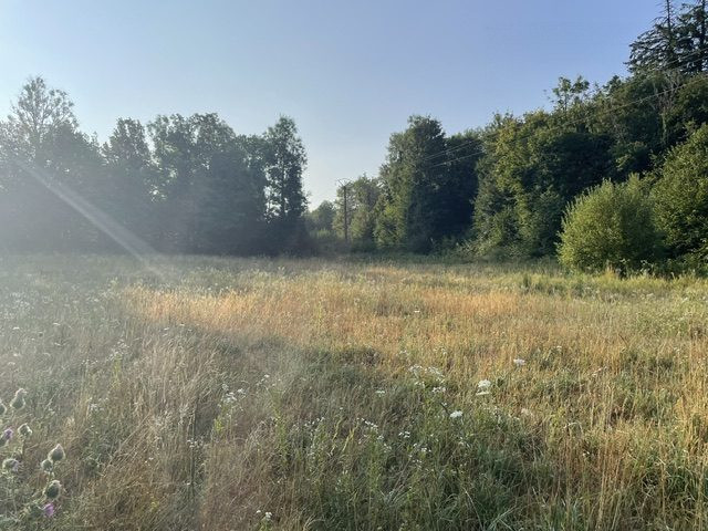Terrain dans Montrond