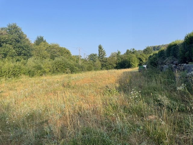 Terrain dans Montrond