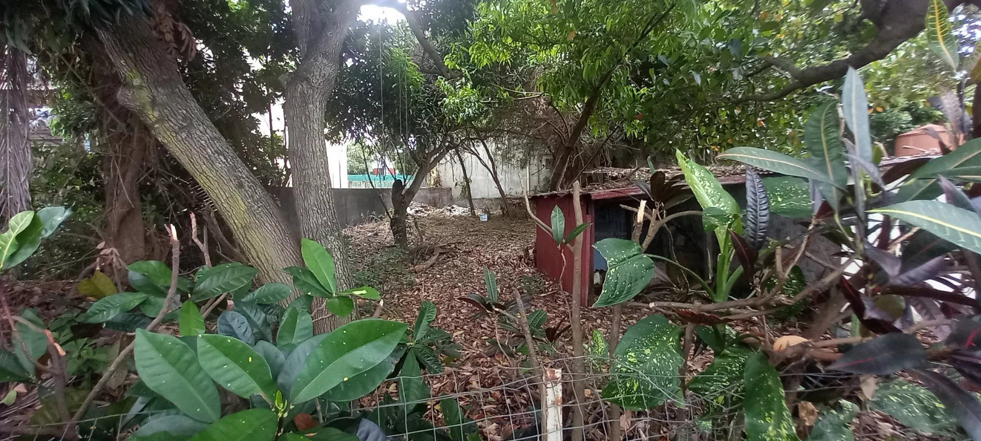 BUILDABLE LAND 739 M² ST PIERRE 4