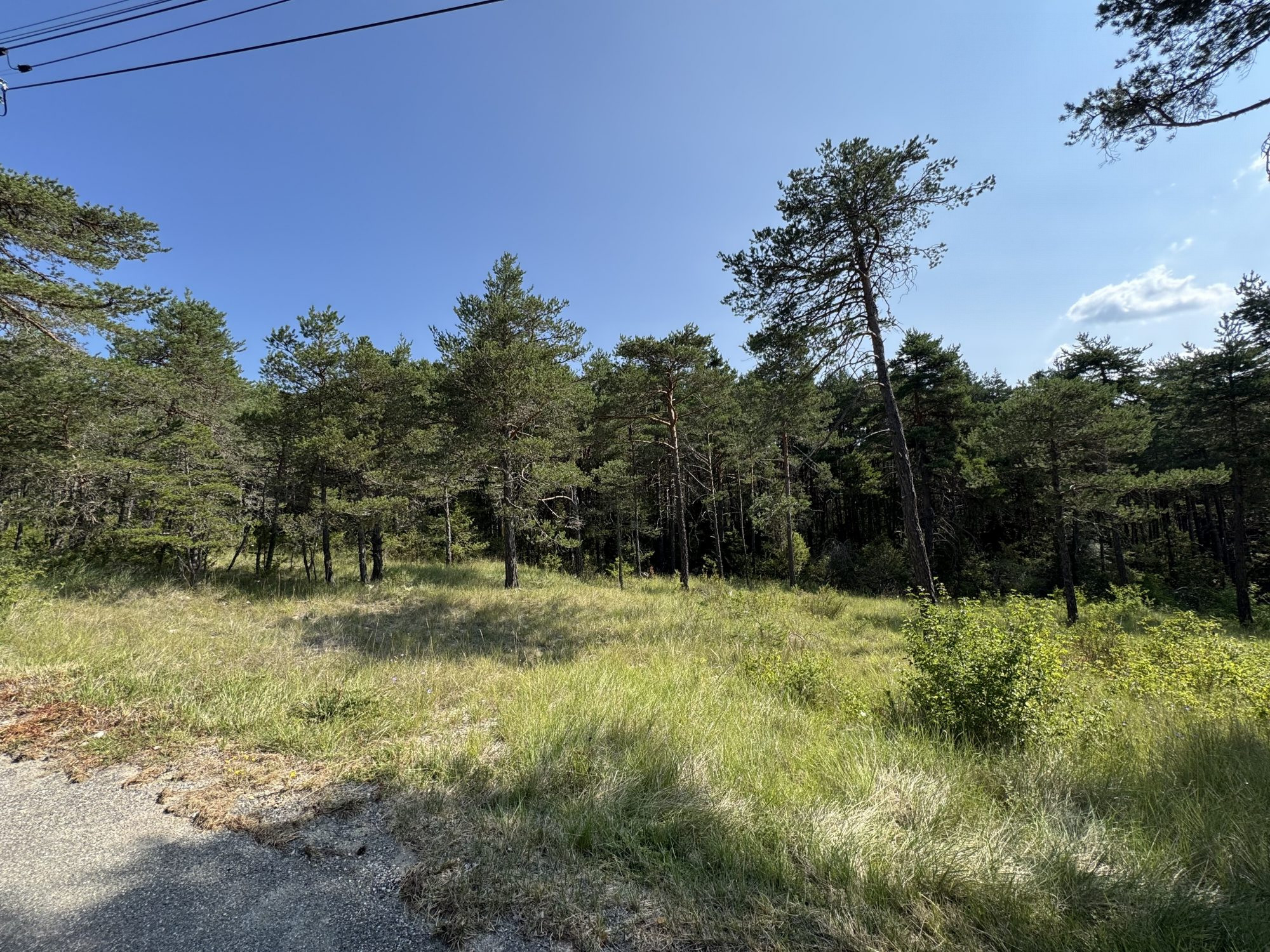 La Martre – Terrain constructible de 1 200 m² au cœur de la nature
