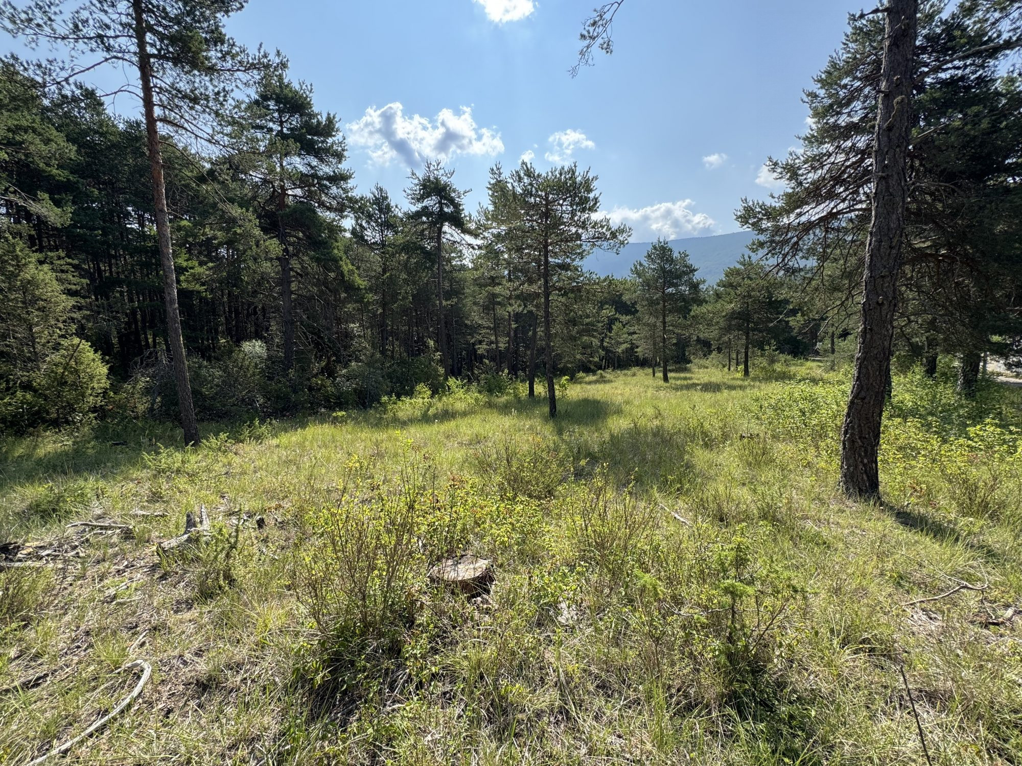 terrain constructible 1180 M2, petit prix