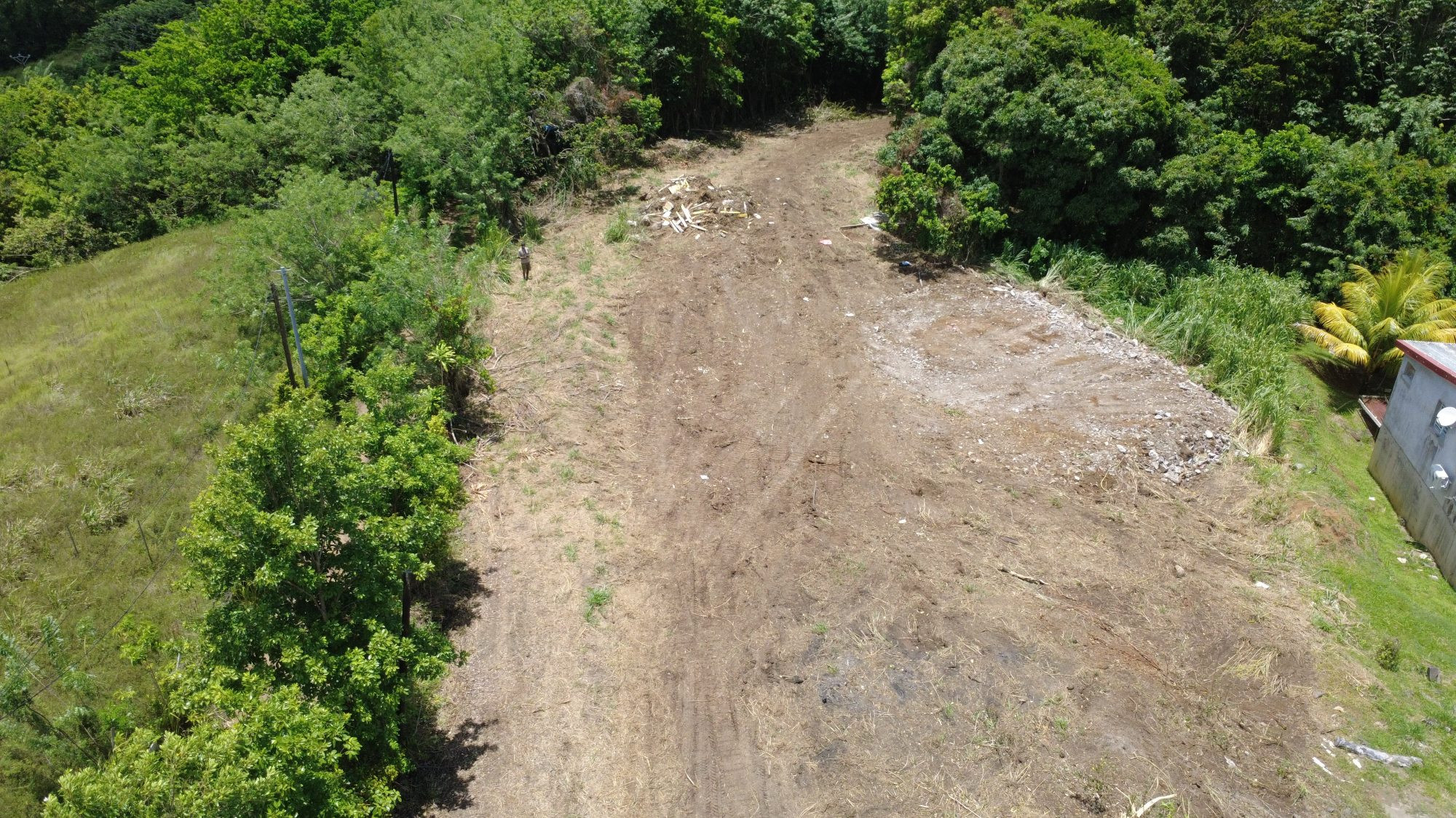 Terrain dans Le Lamentin