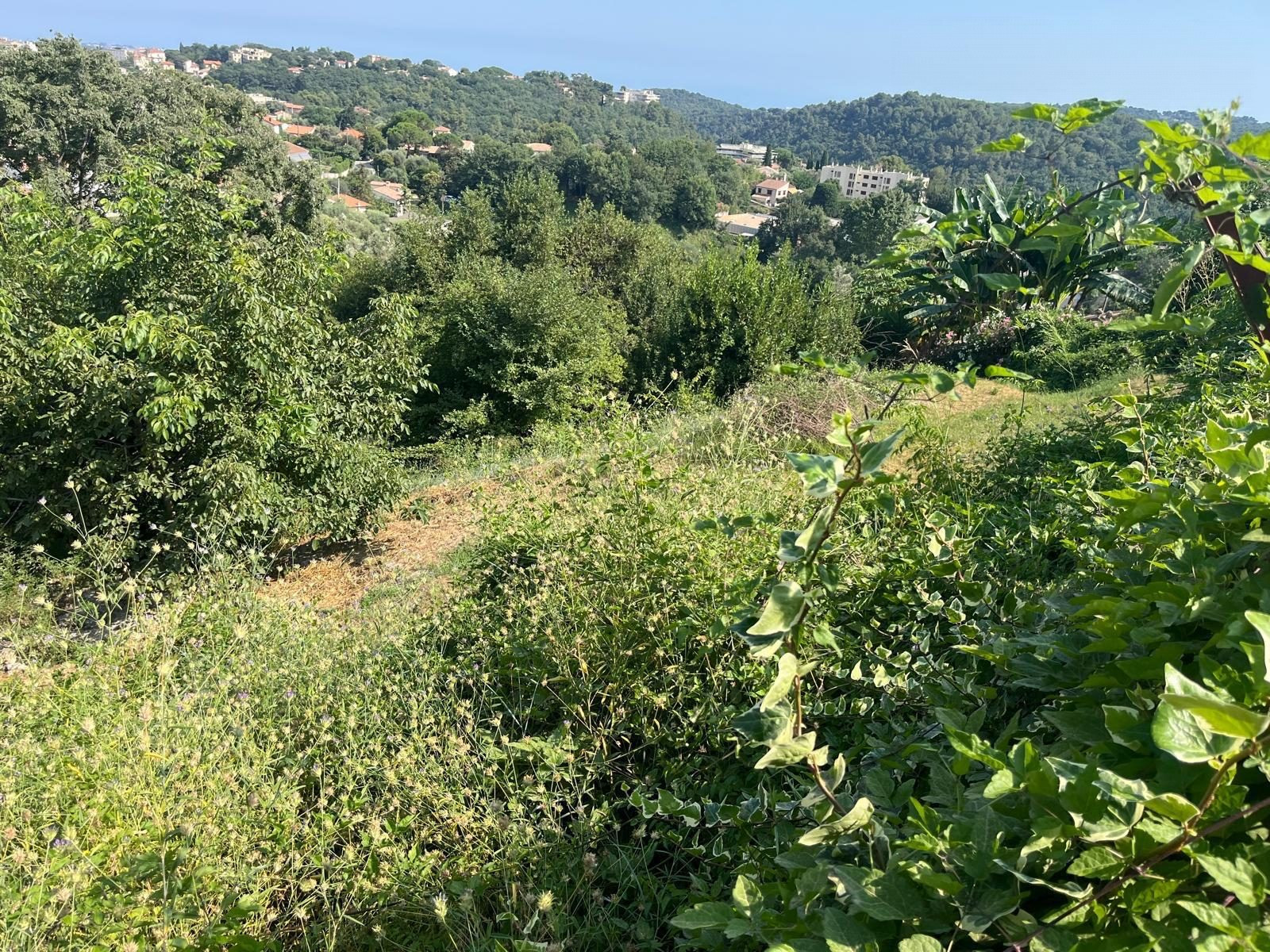 EXCLUSIVITÉ – TERRAIN PLAT DE 916 M² À 20 MINUTES D’AJACCIO