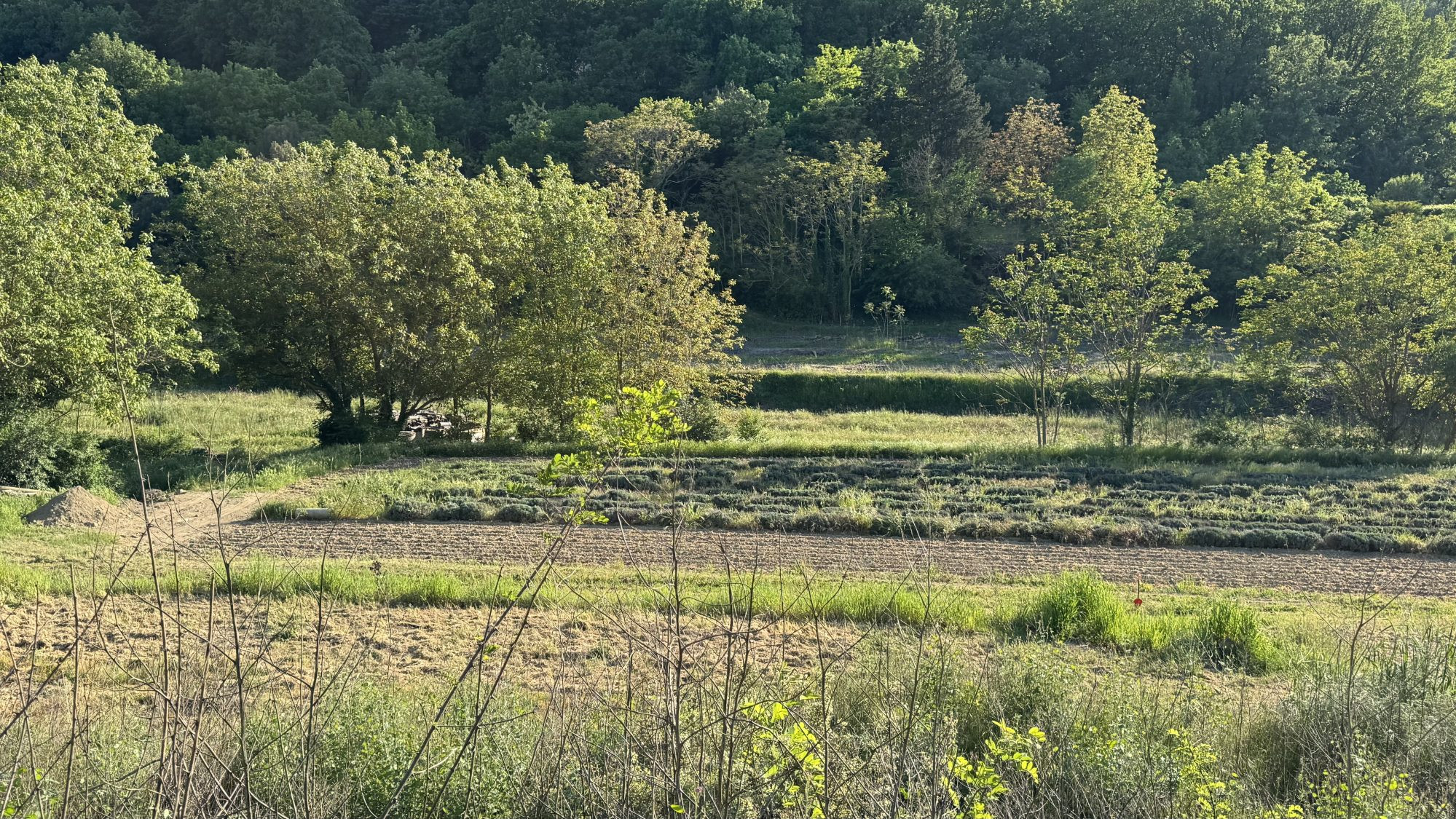 Land for sale in Ménerbes