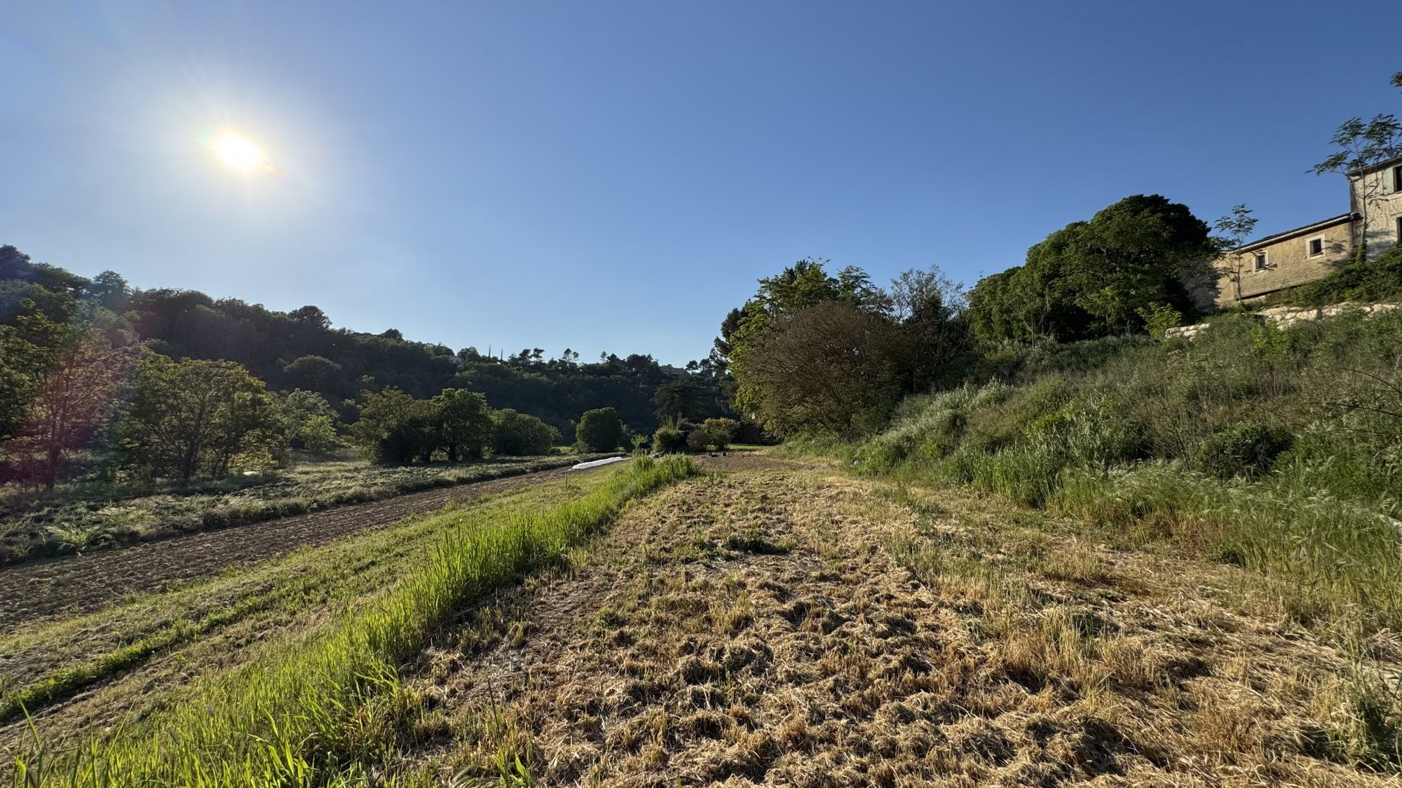 Terrain à vendre à Ménerbes