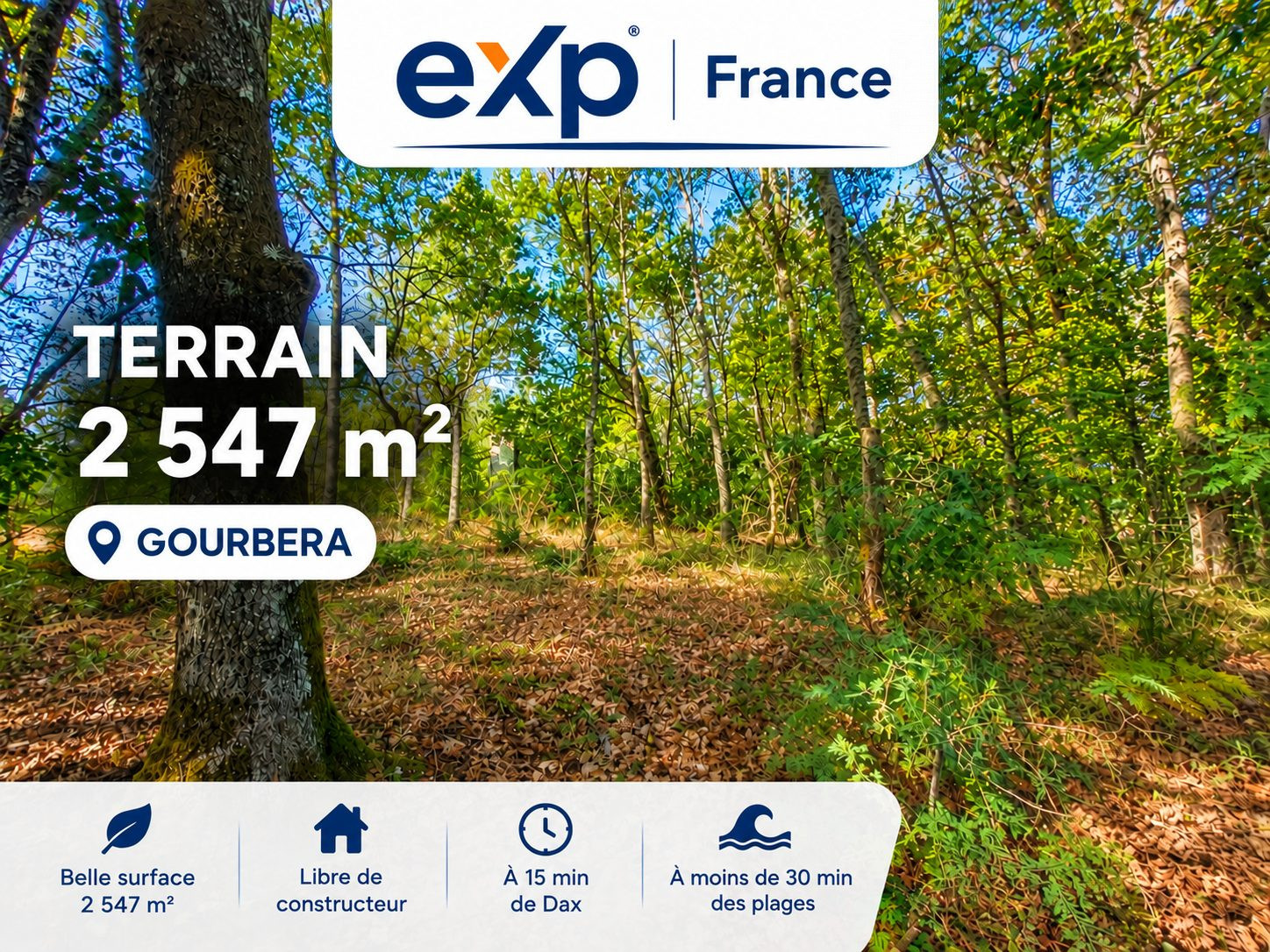 Terrain dans Gourbera