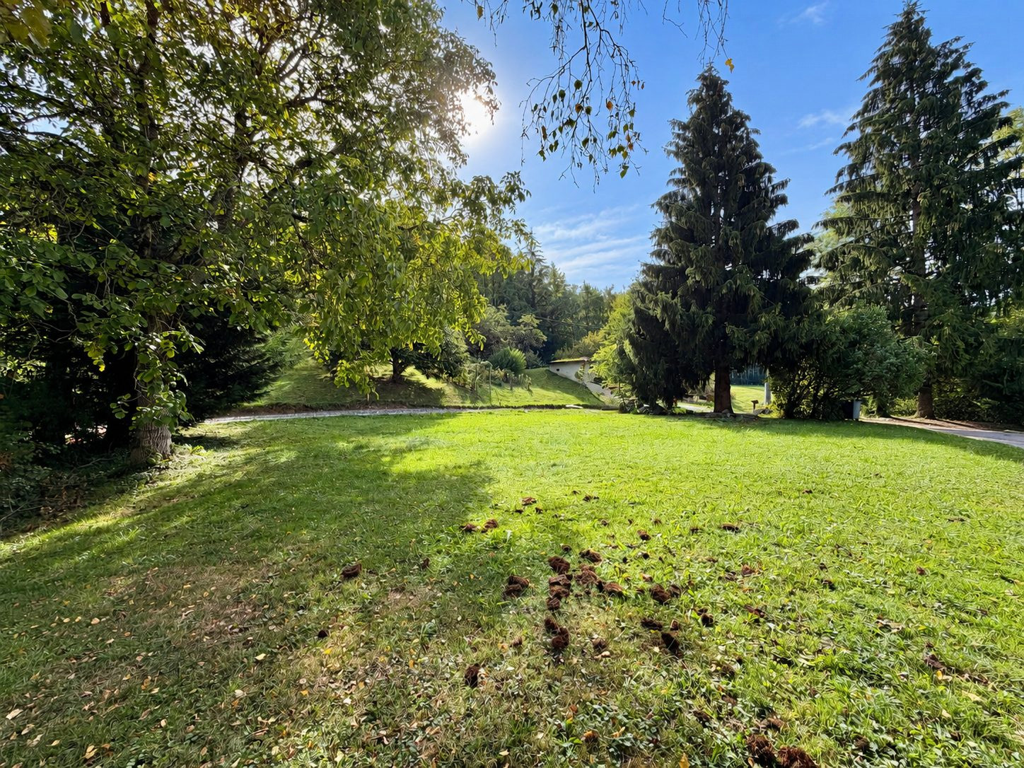 Terrain à vendre à Châtillon-sur-Cluses