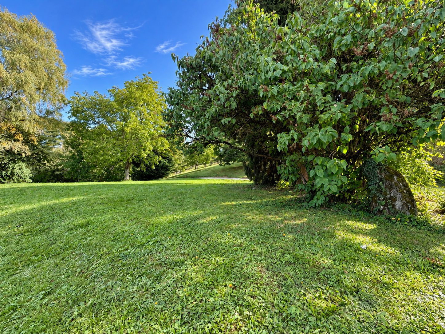 Terrain à vendre à Châtillon-sur-Cluses